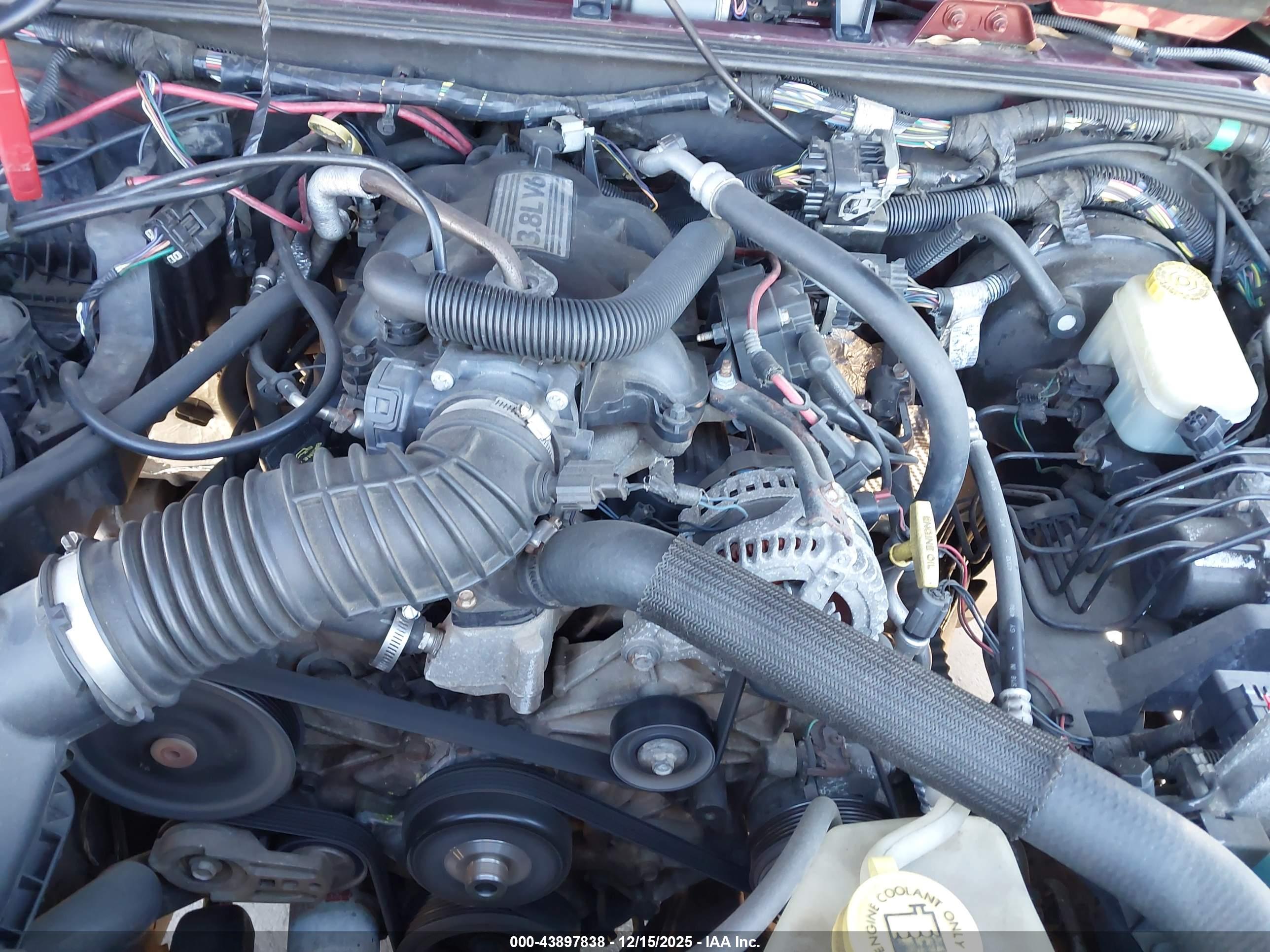 JEEP WRANGLER image 10