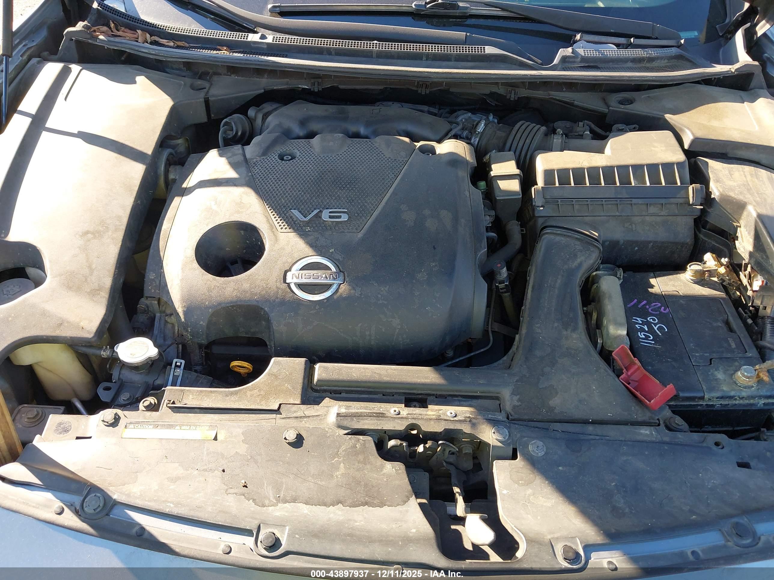 NISSAN MAXIMA image 10