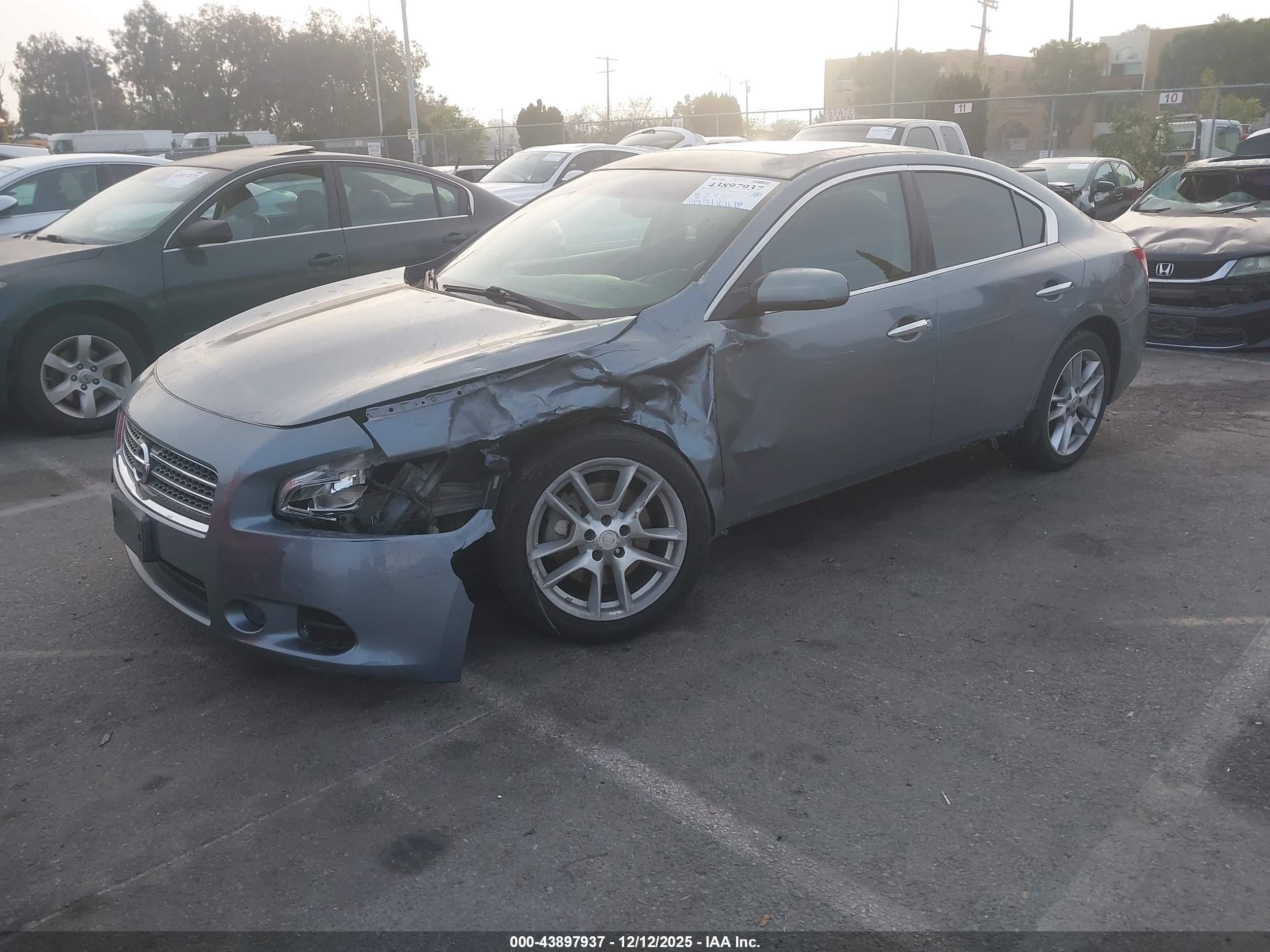 NISSAN MAXIMA image 2