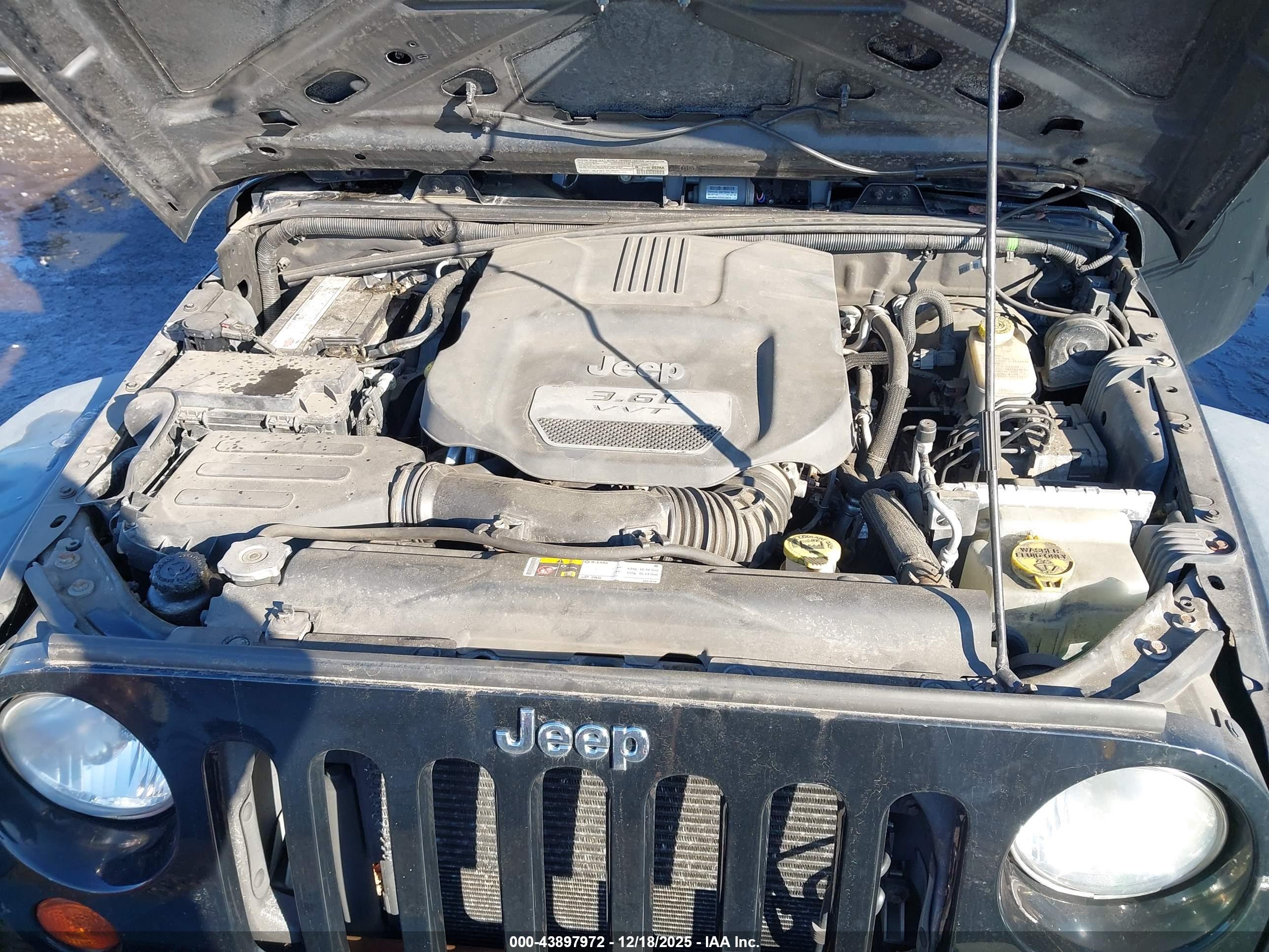 JEEP WRANGLER image 10