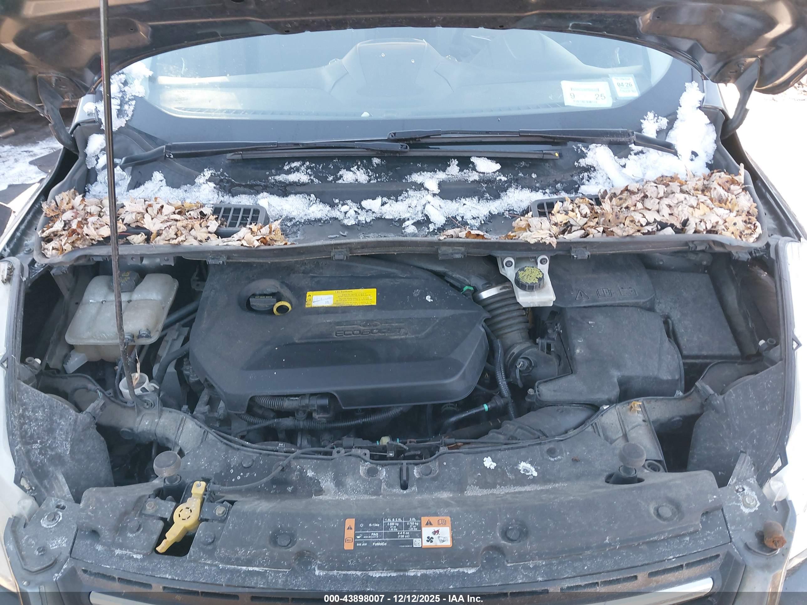 FORD ESCAPE image 10