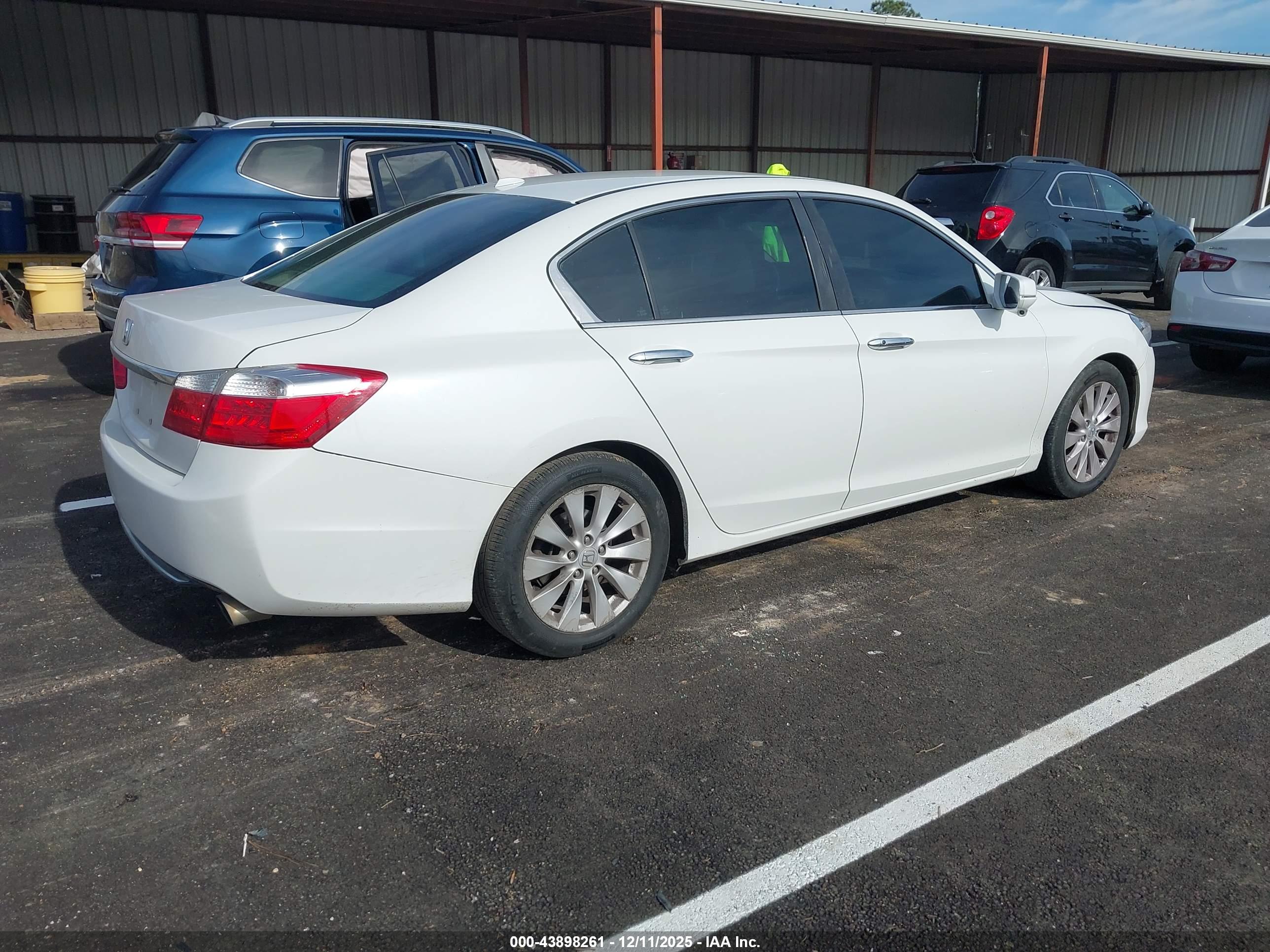 HONDA ACCORD image 4