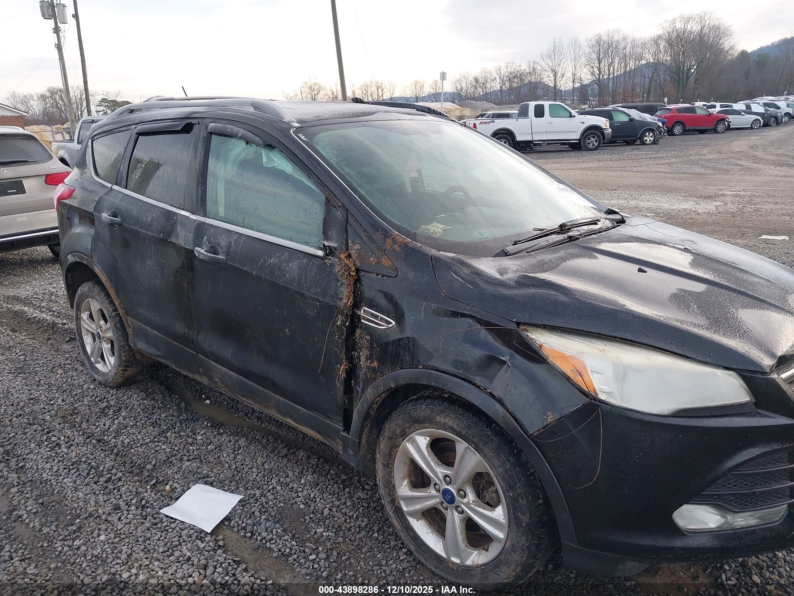 FORD ESCAPE image 6