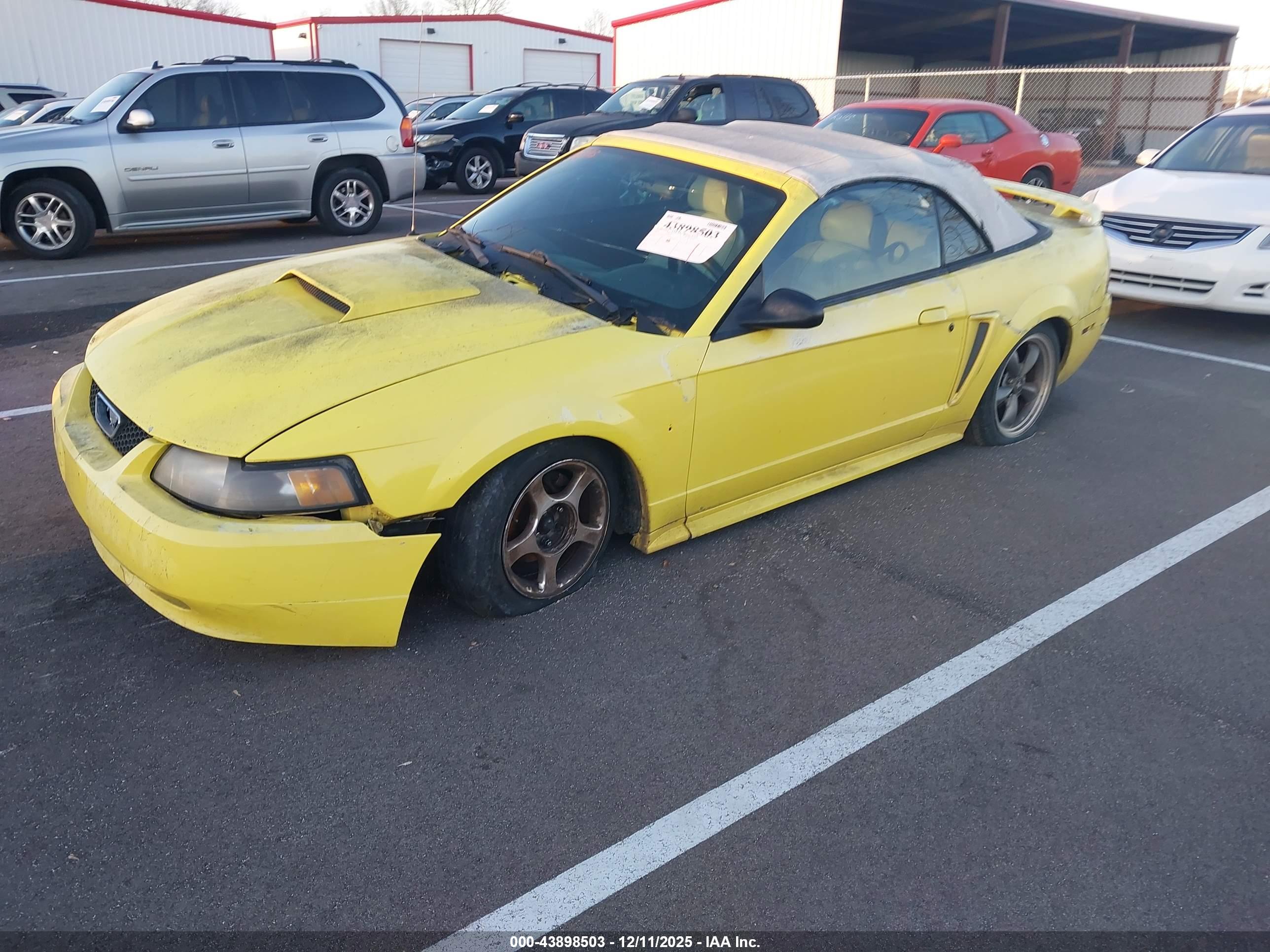 FORD MUSTANG image 2
