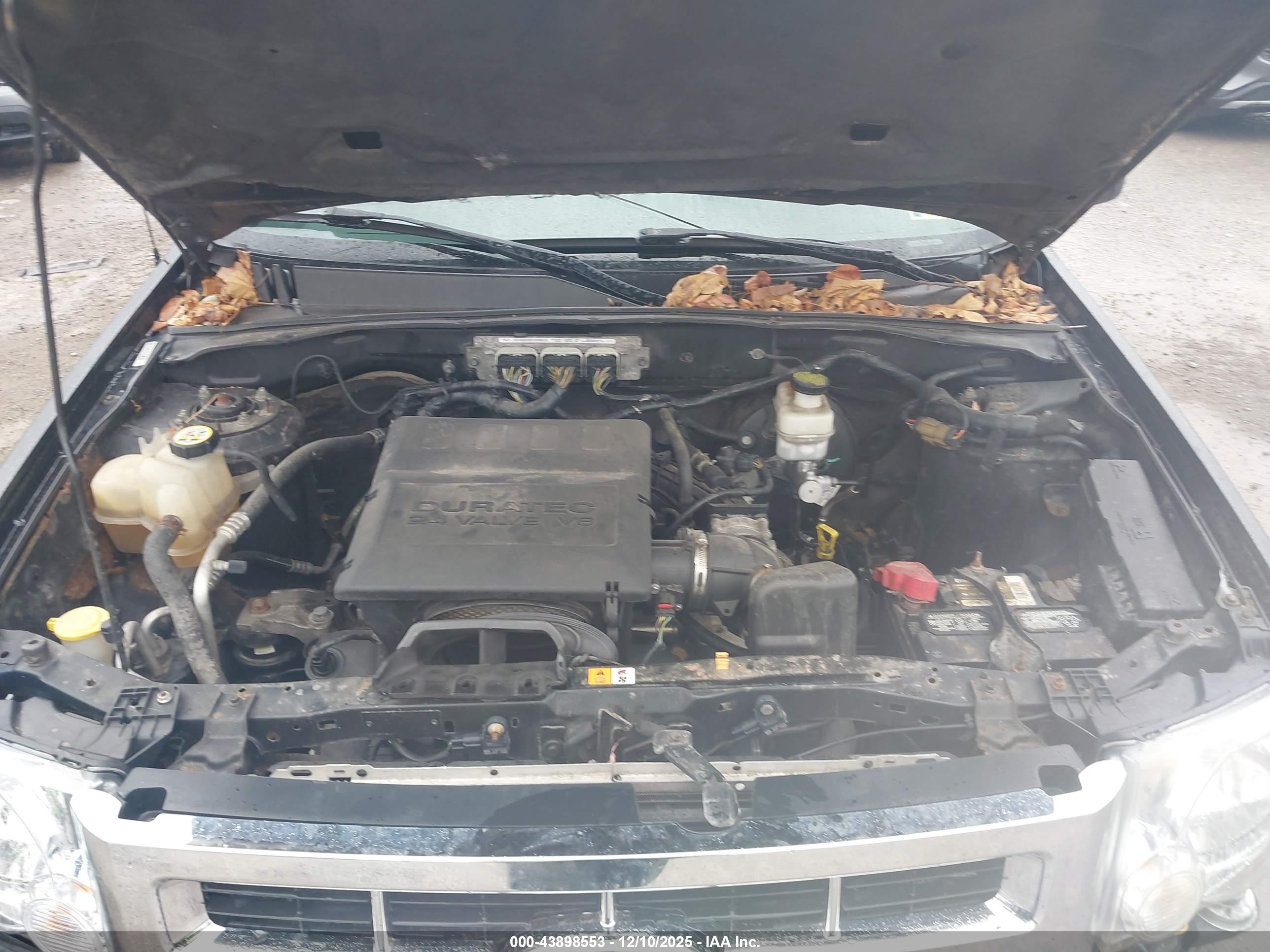 FORD ESCAPE image 10