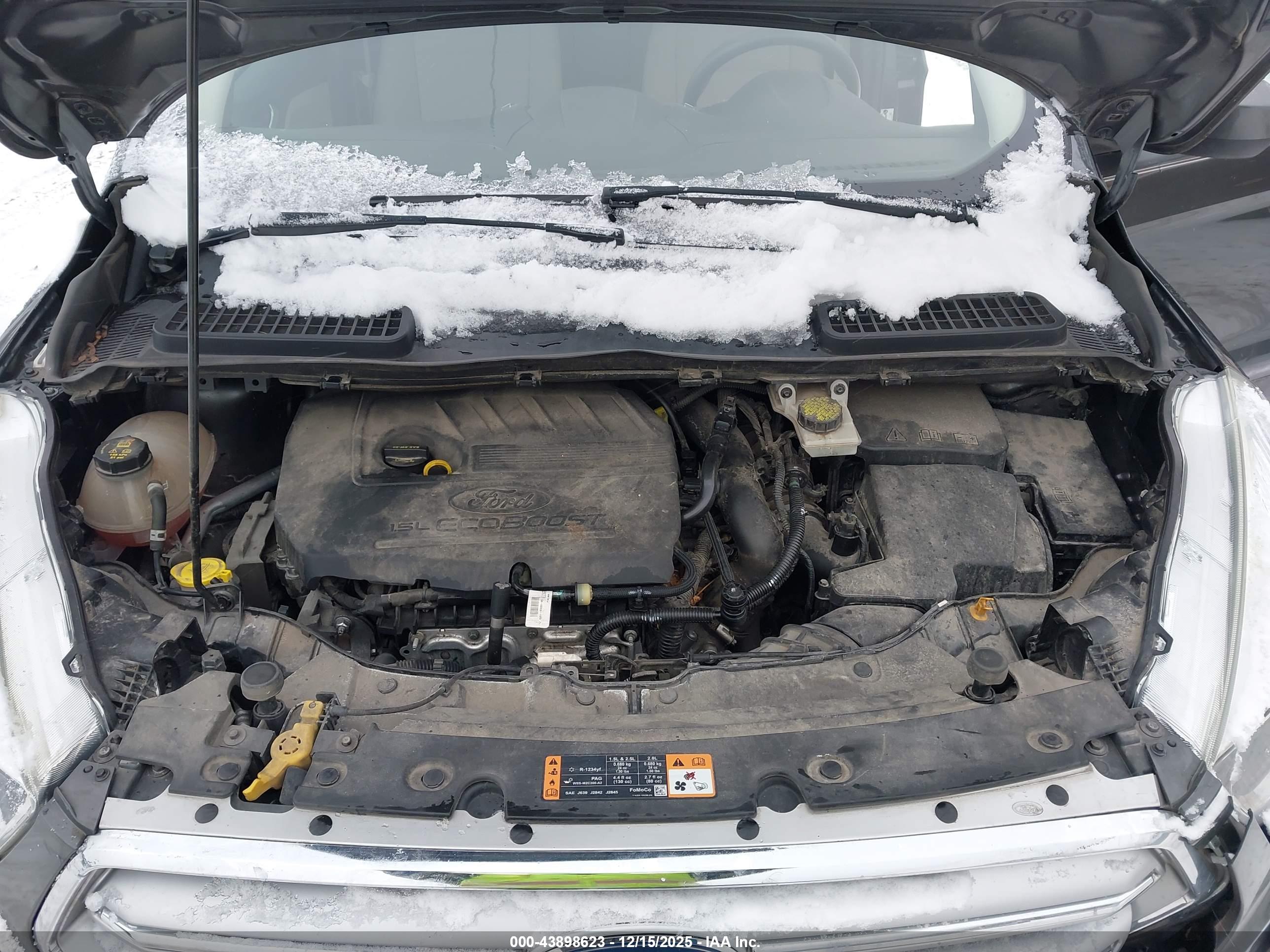 FORD ESCAPE image 10