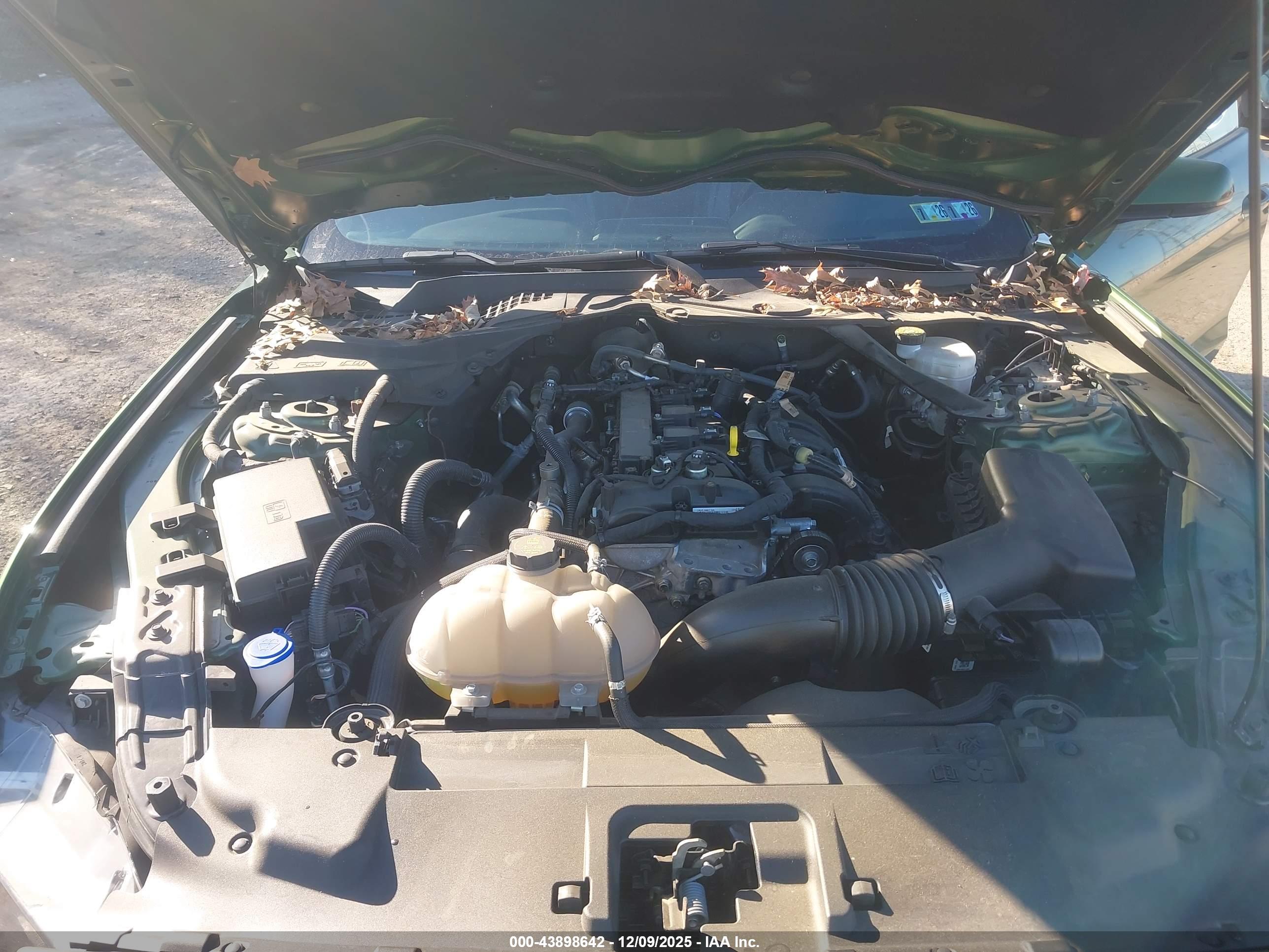 FORD MUSTANG image 10