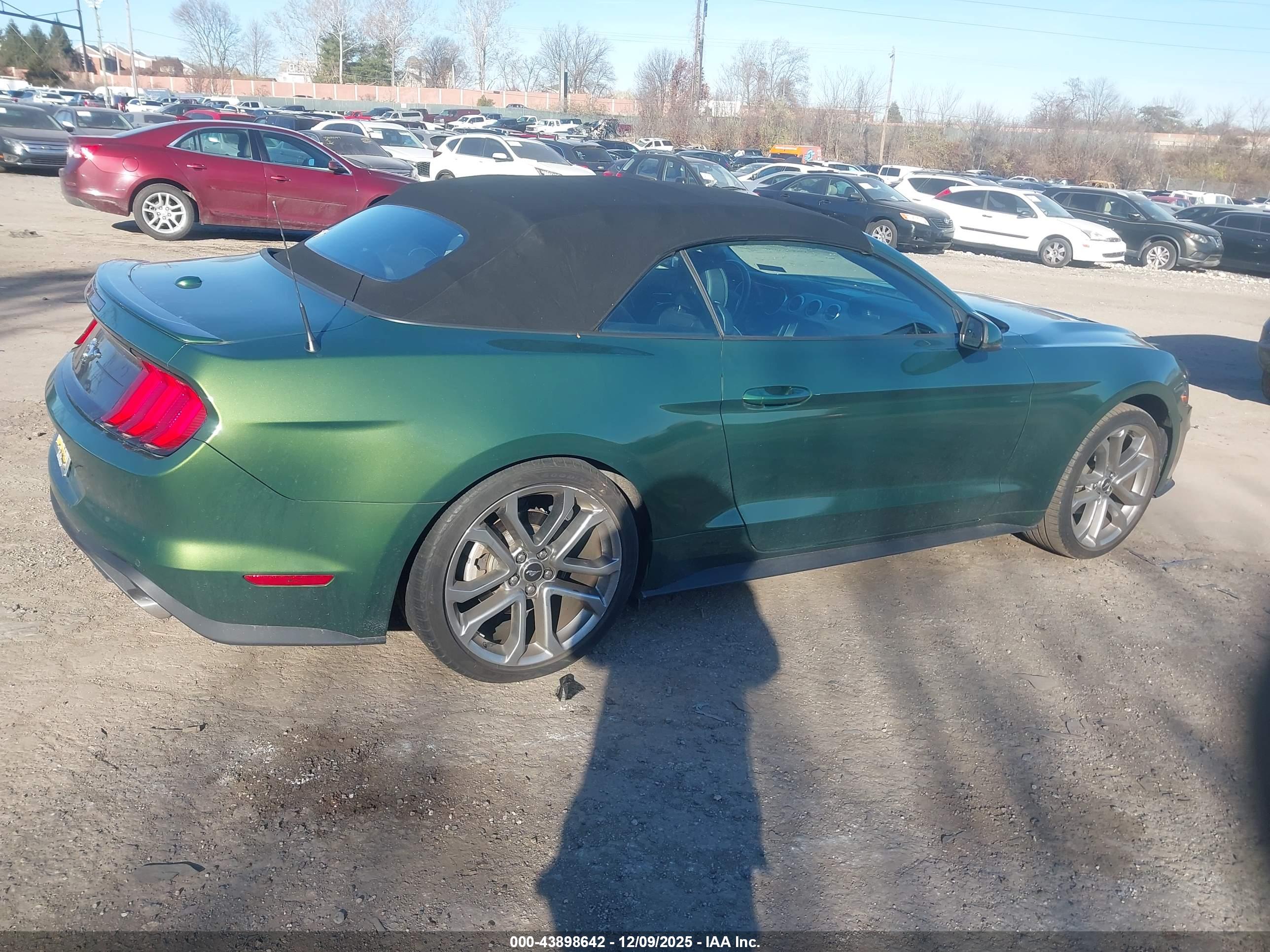 FORD MUSTANG image 4