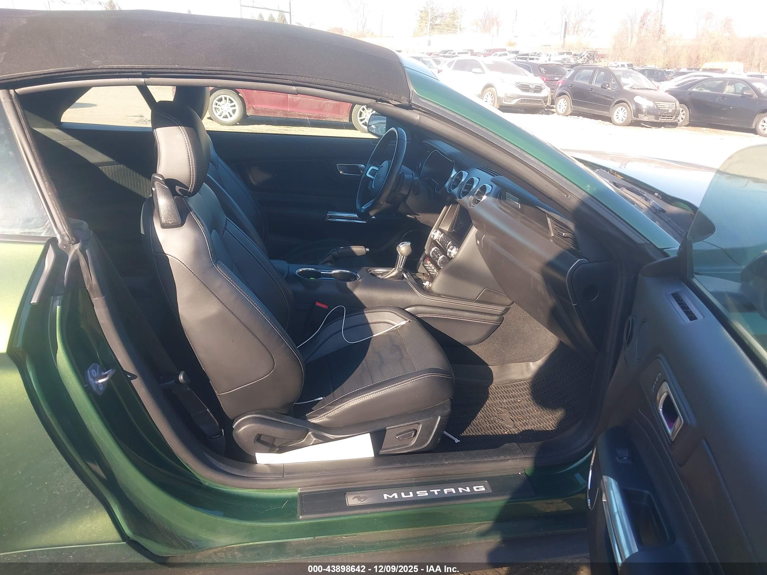 FORD MUSTANG image 5