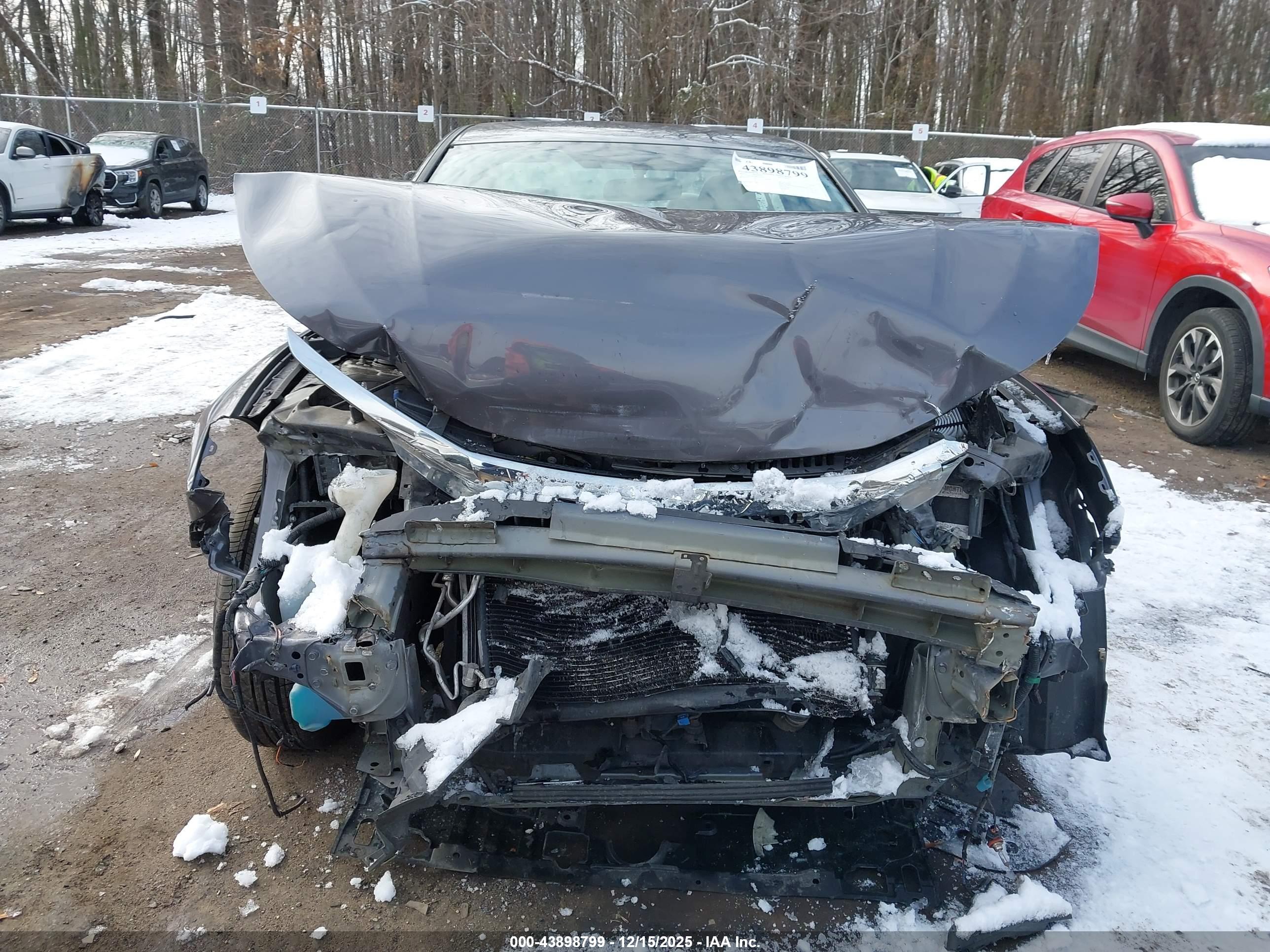 HONDA ACCORD image 6