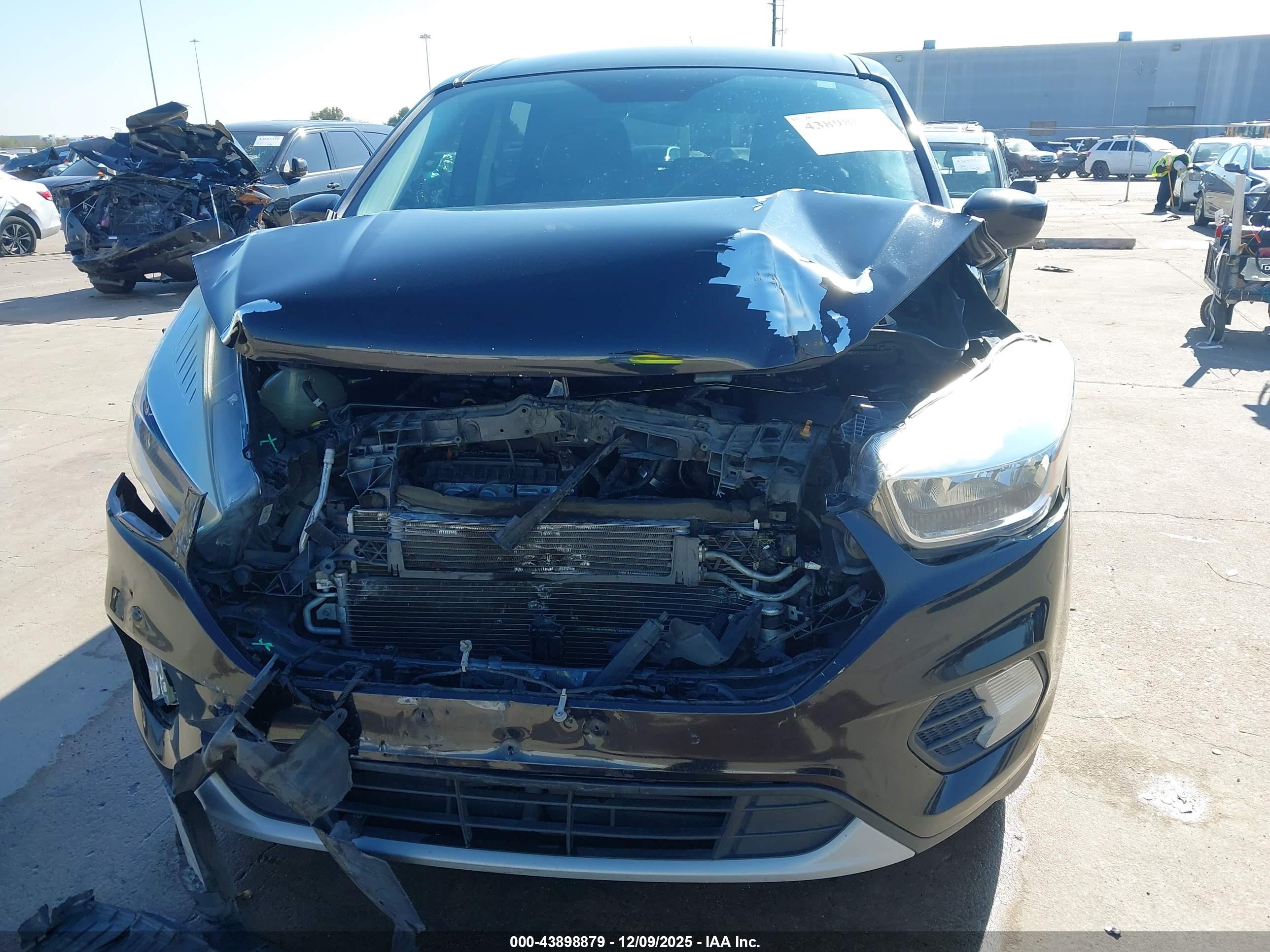 FORD ESCAPE image 6