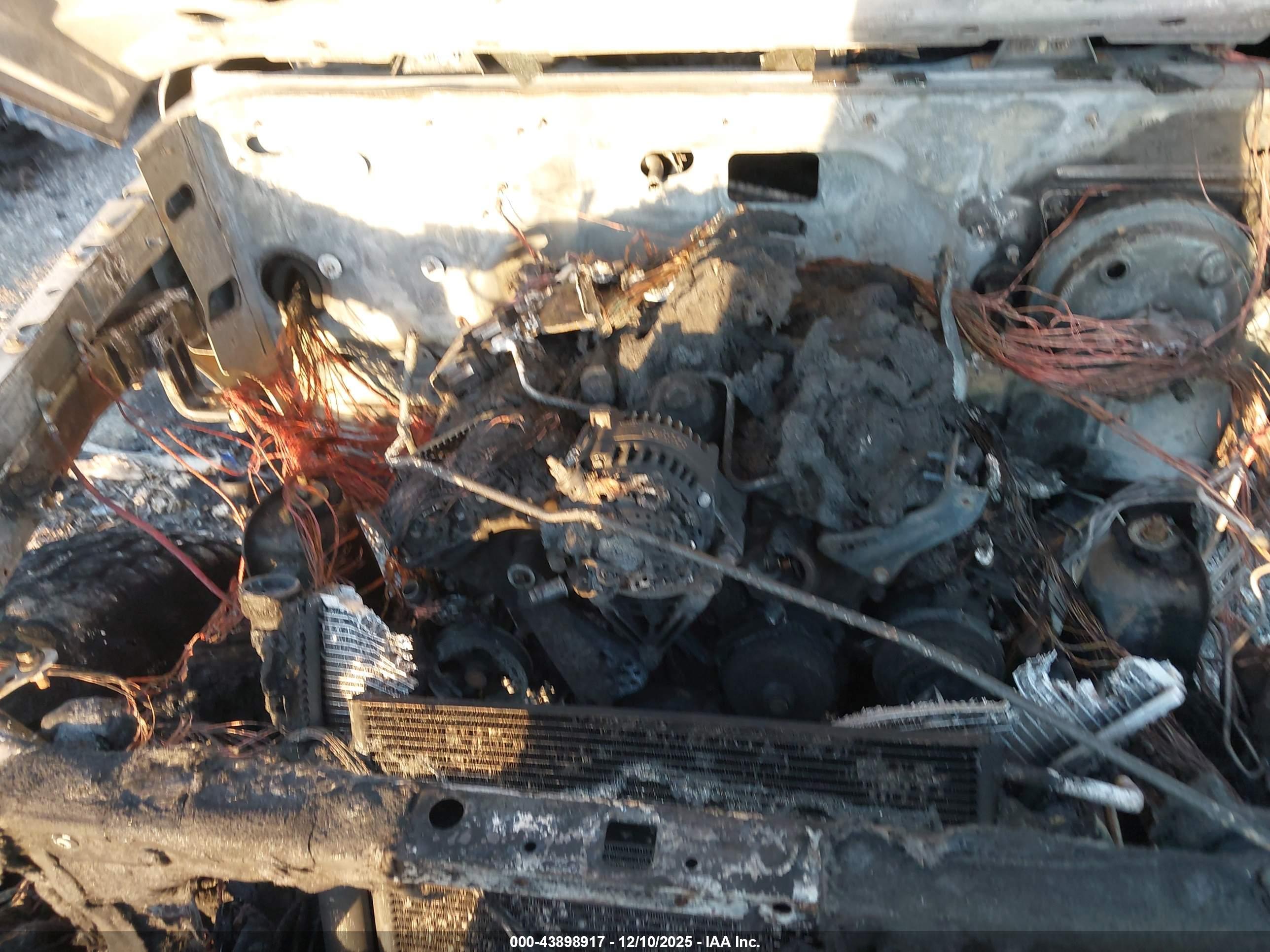 JEEP WRANGLER image 10