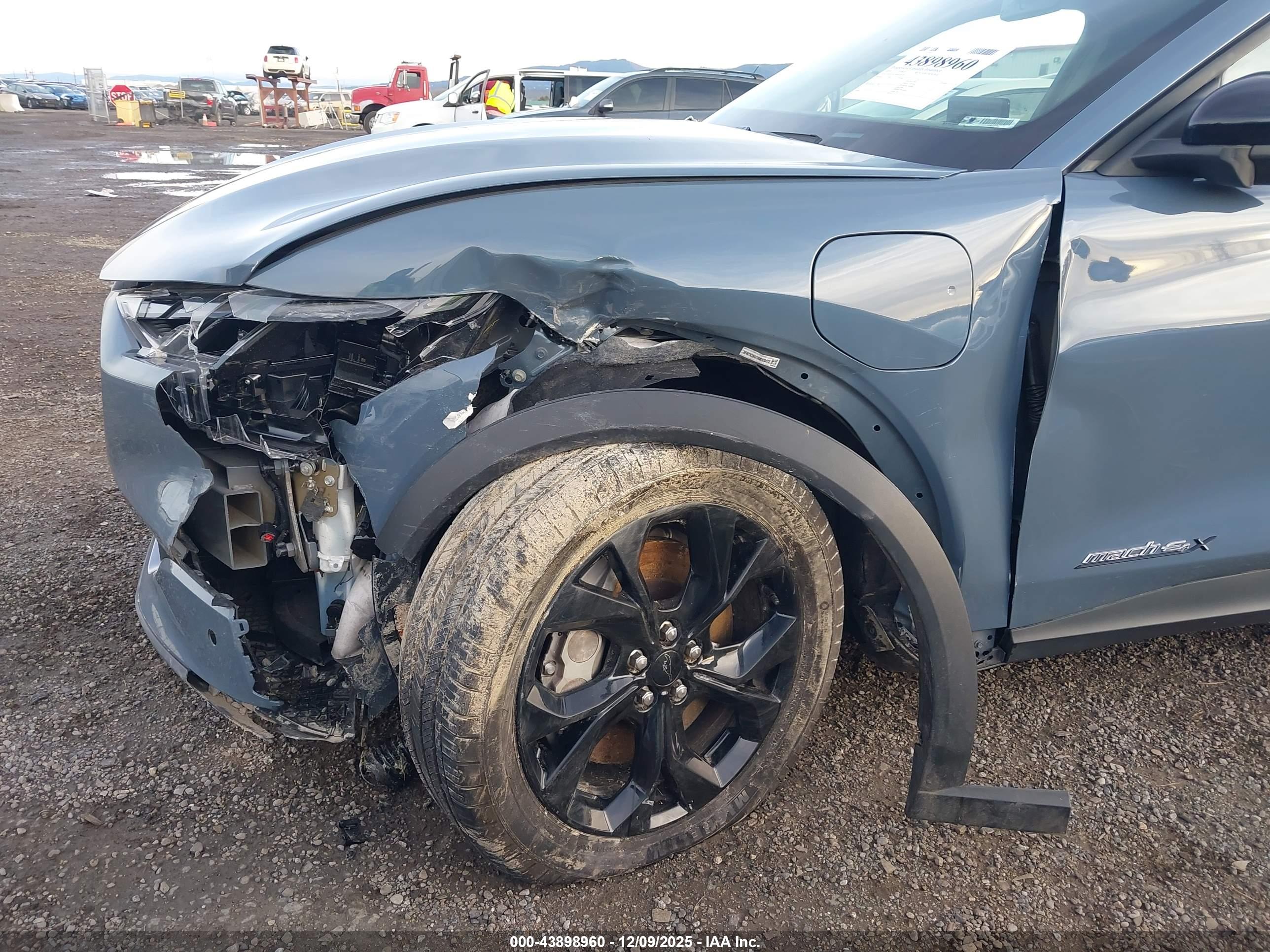 FORD MUSTANG image 6