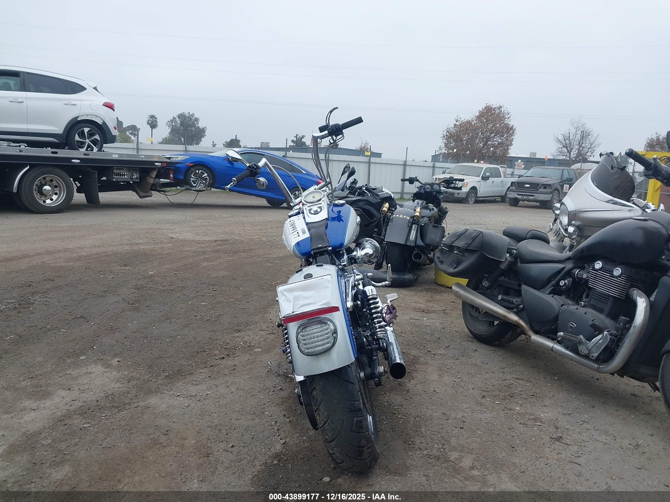 HARLEY-DAVIDSON FXDC image 6