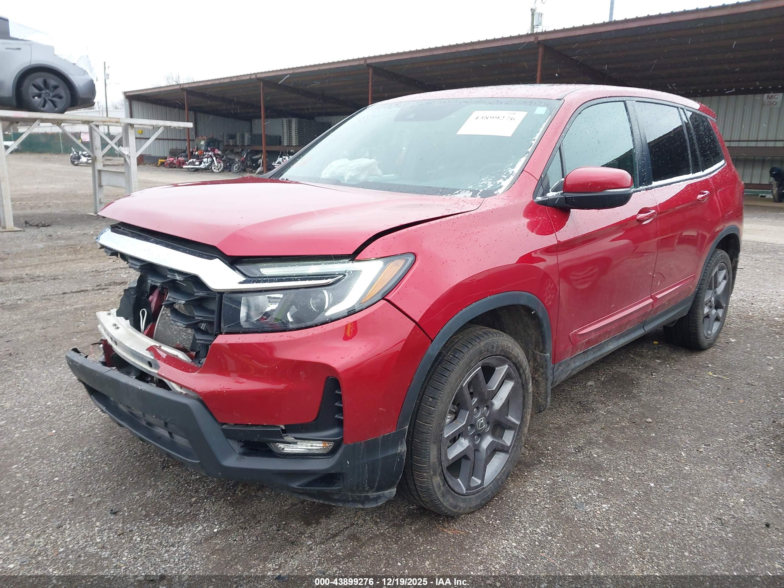 HONDA PASSPORT image 2