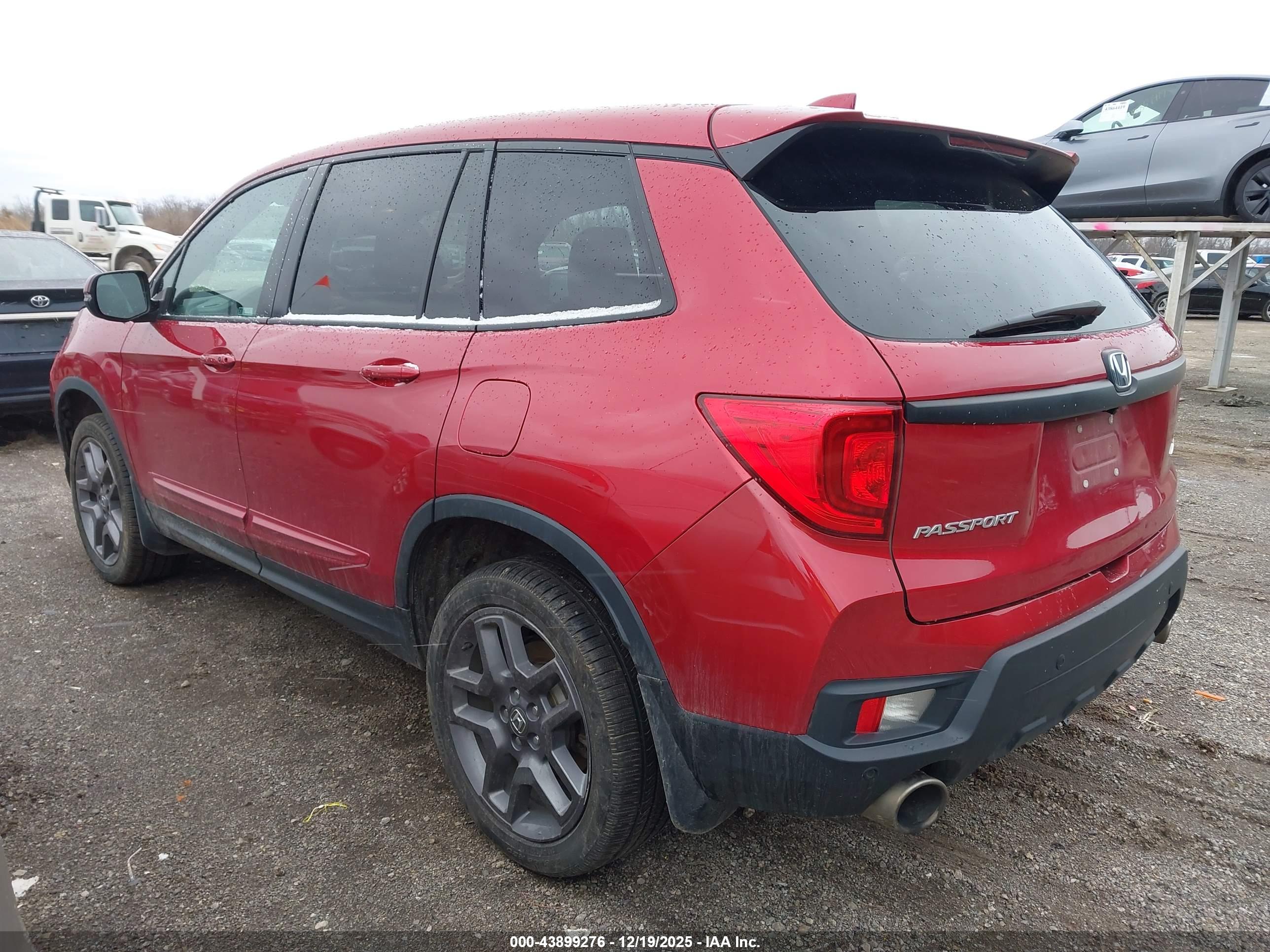 HONDA PASSPORT image 3