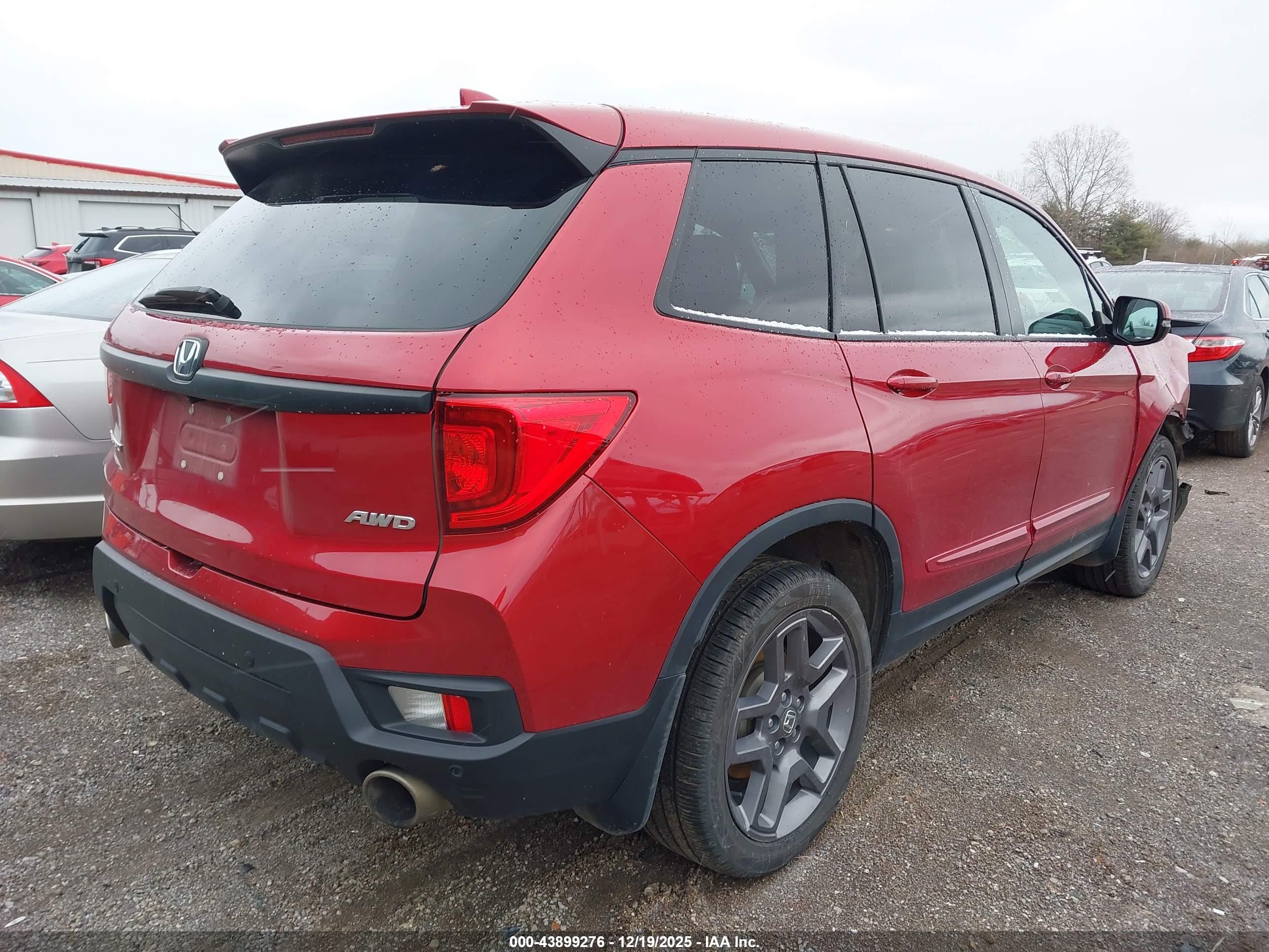 HONDA PASSPORT image 4