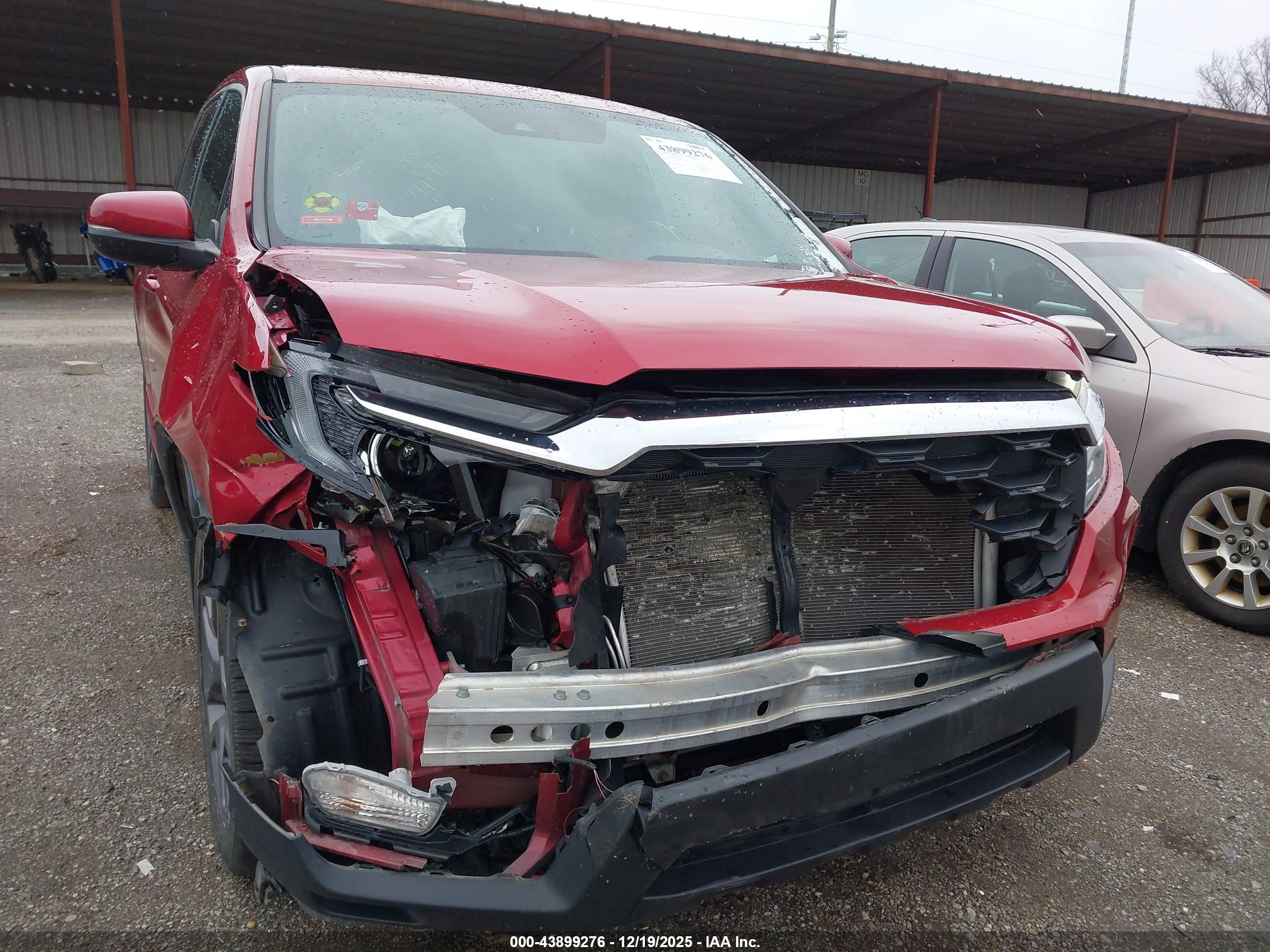 HONDA PASSPORT image 6
