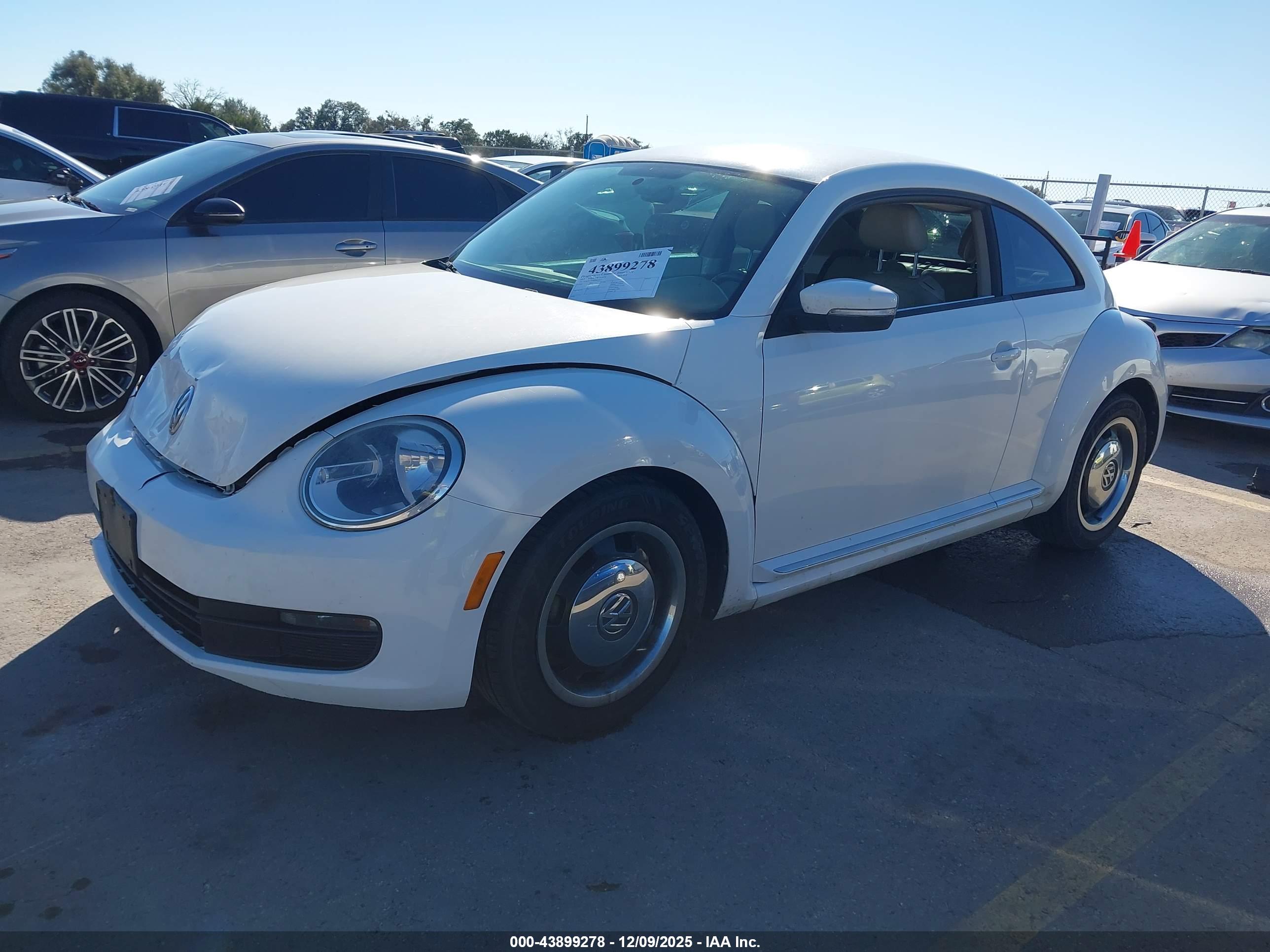 VOLKSWAGEN BEETLE image 2