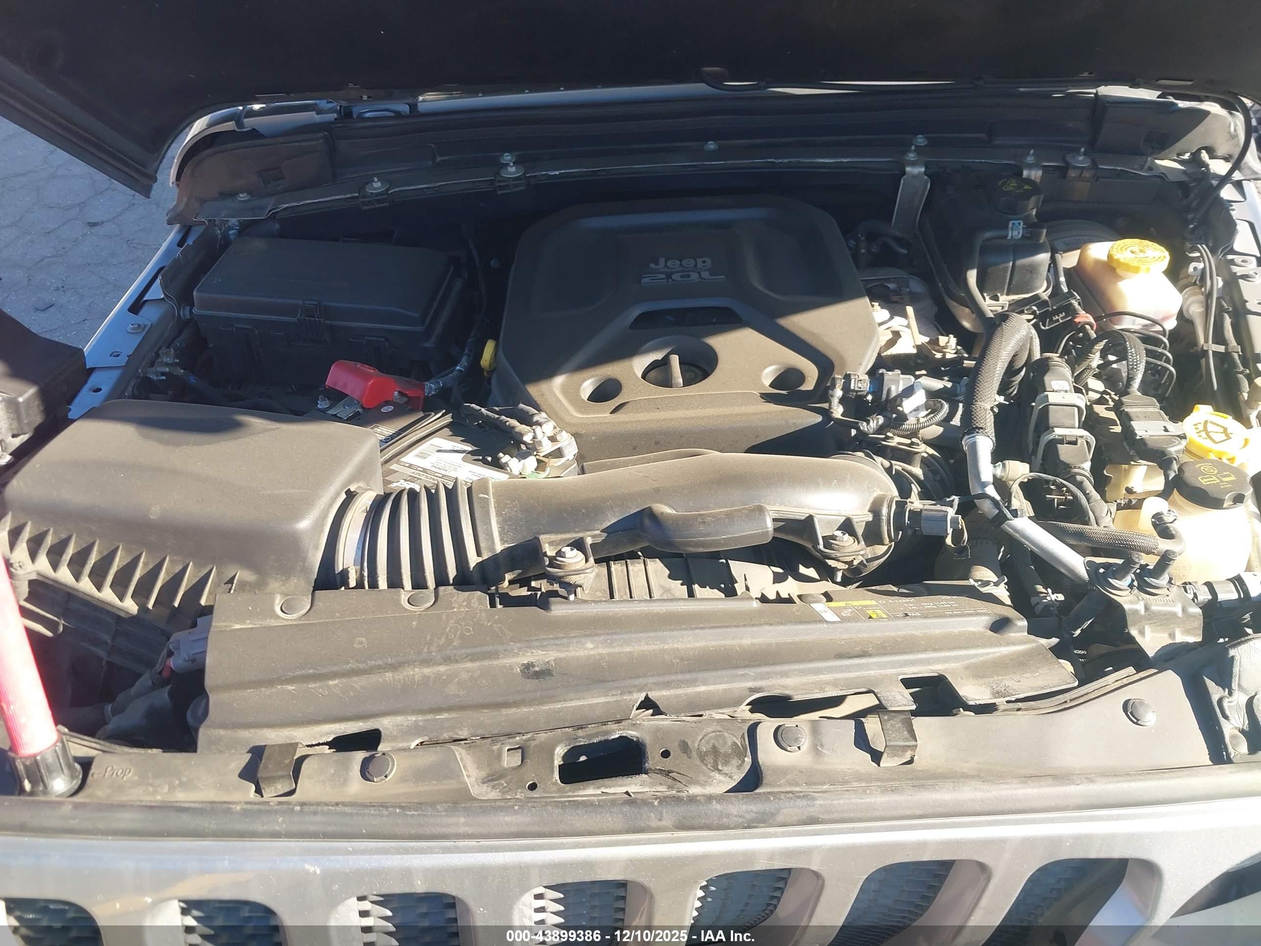 JEEP WRANGLER image 10