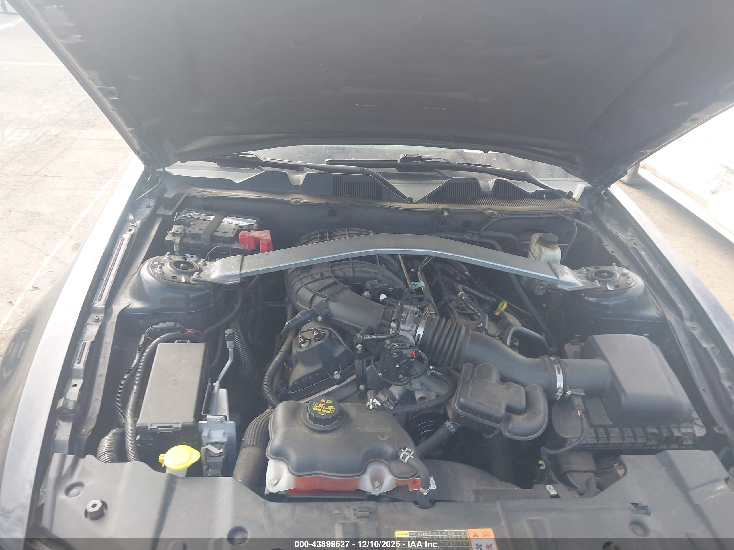 FORD MUSTANG image 10