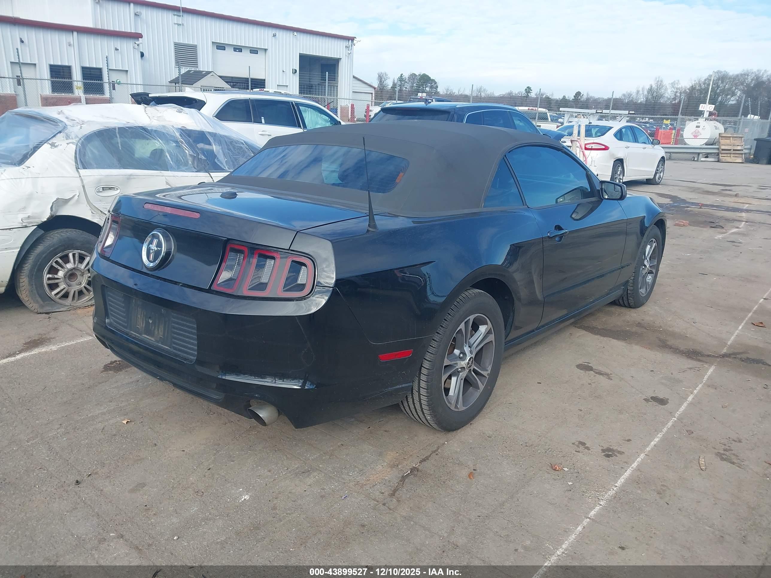FORD MUSTANG image 4