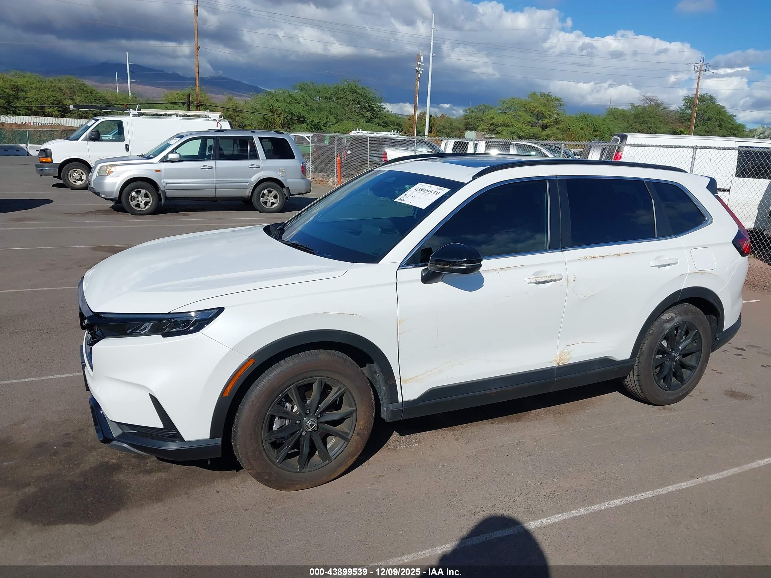 HONDA CR-V image 6
