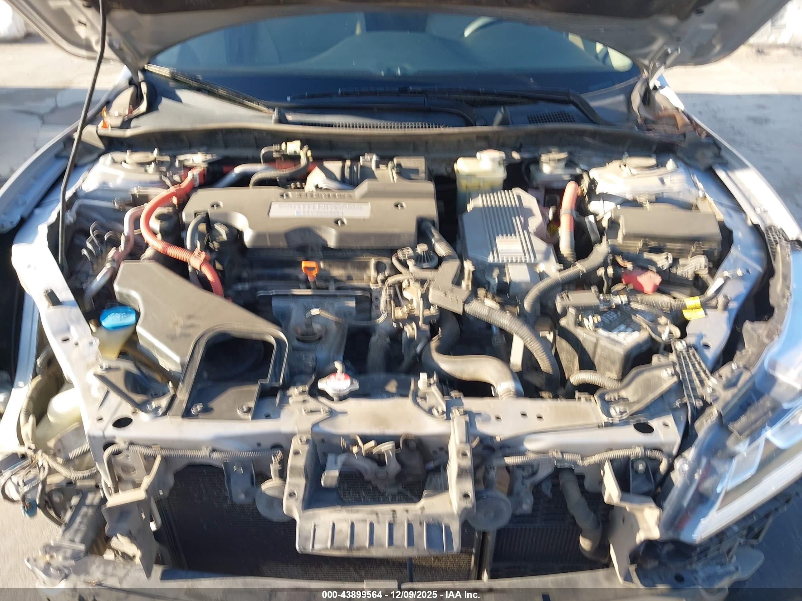 HONDA ACCORD image 10