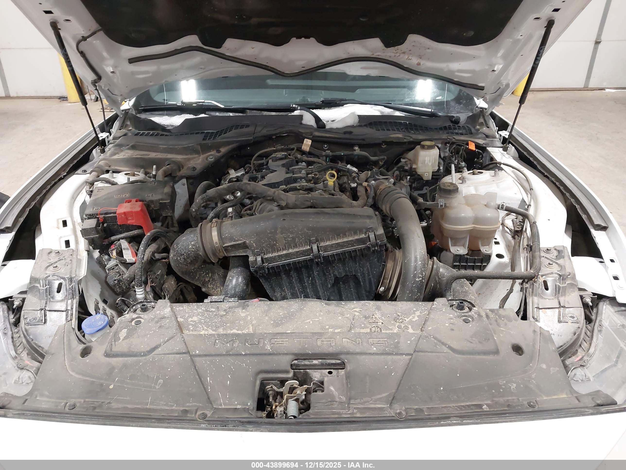 FORD MUSTANG image 10