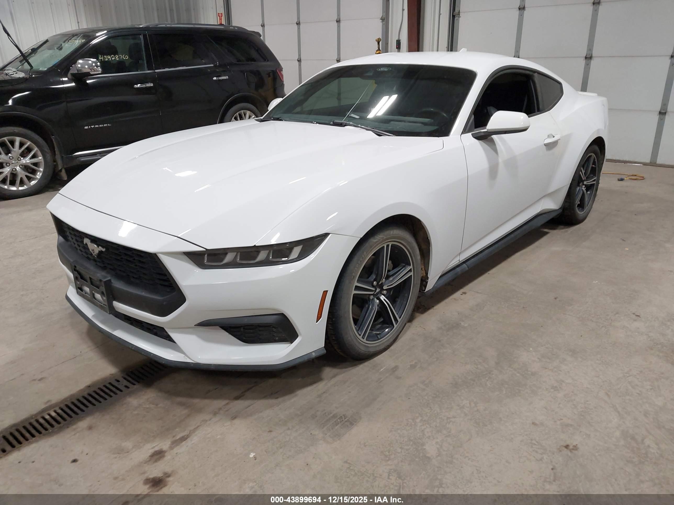 FORD MUSTANG image 2