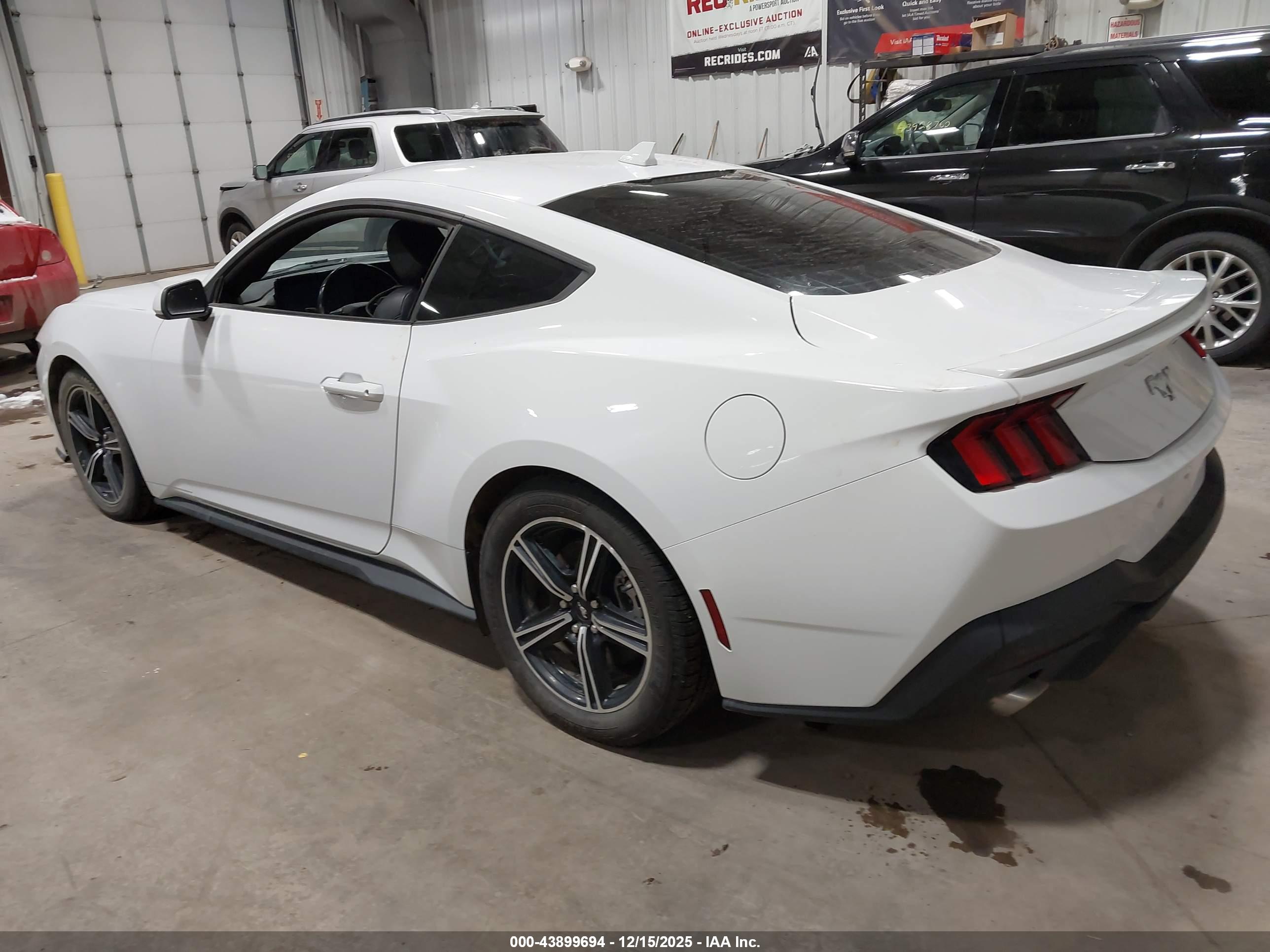 FORD MUSTANG image 3