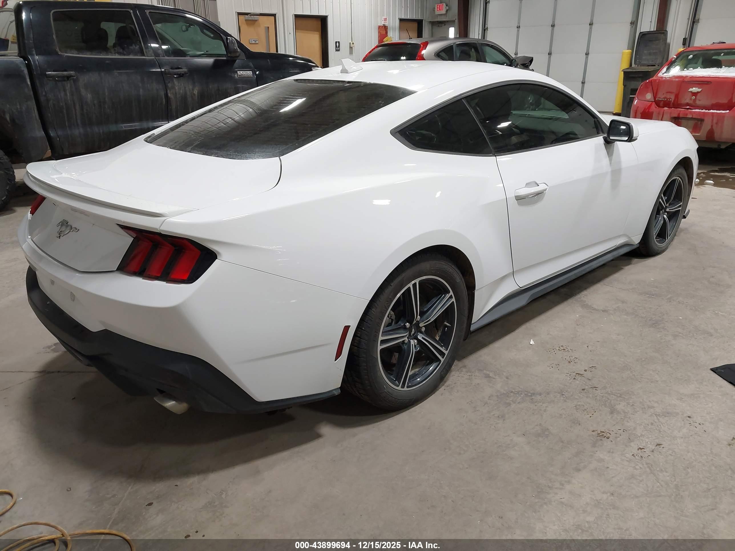 FORD MUSTANG image 4