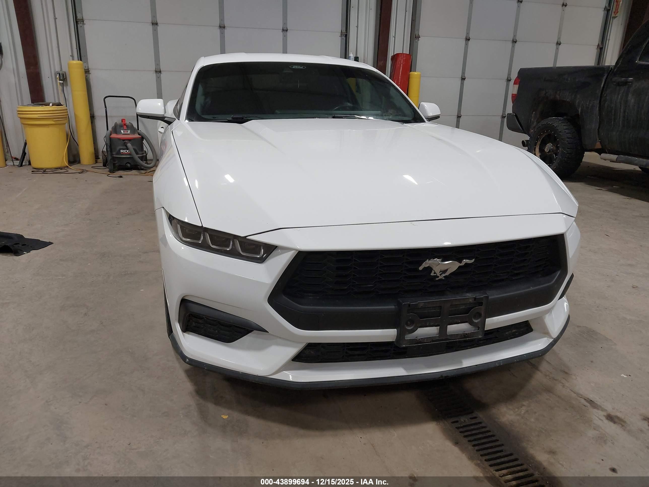 FORD MUSTANG image 6