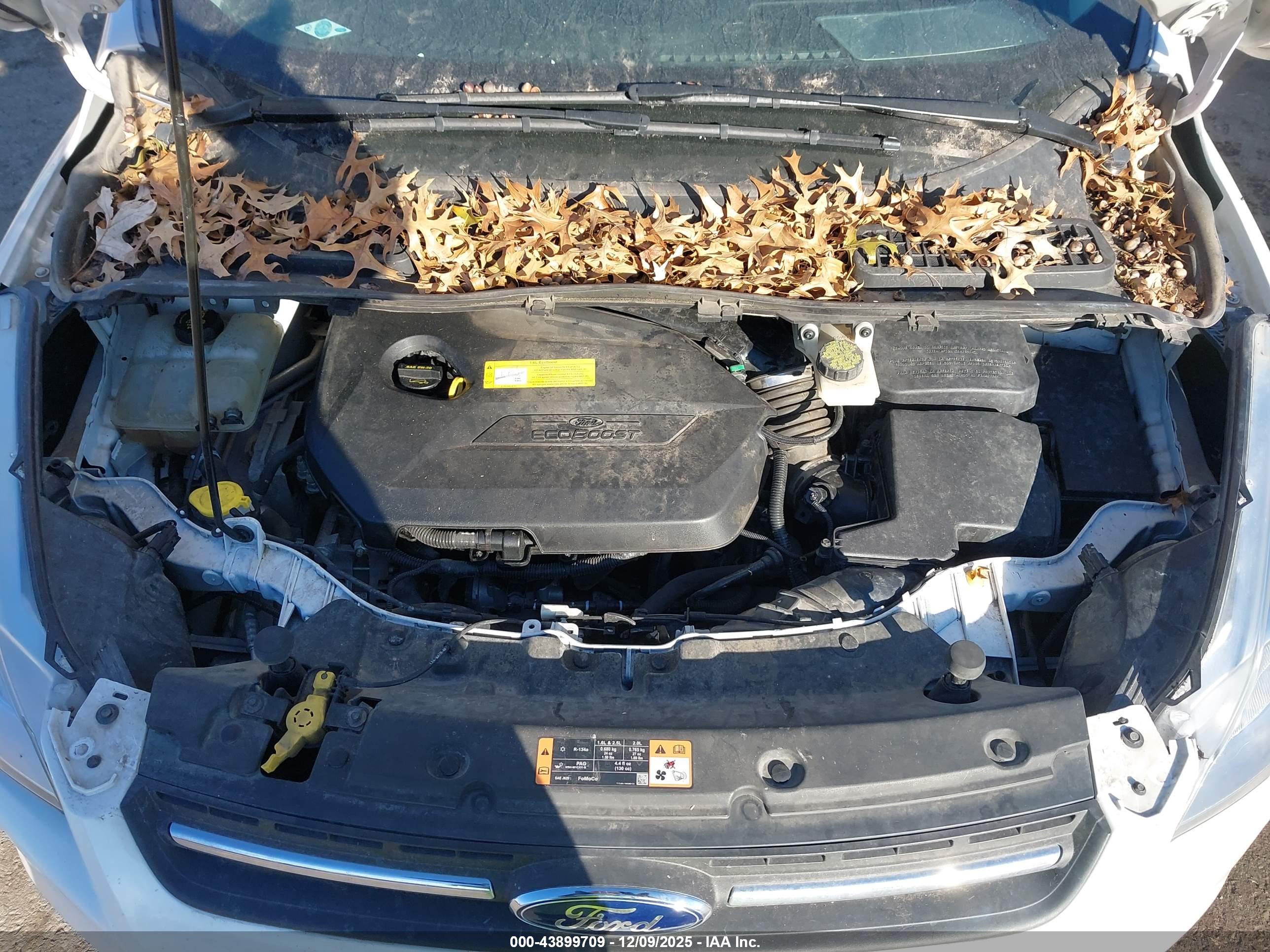 FORD ESCAPE image 10