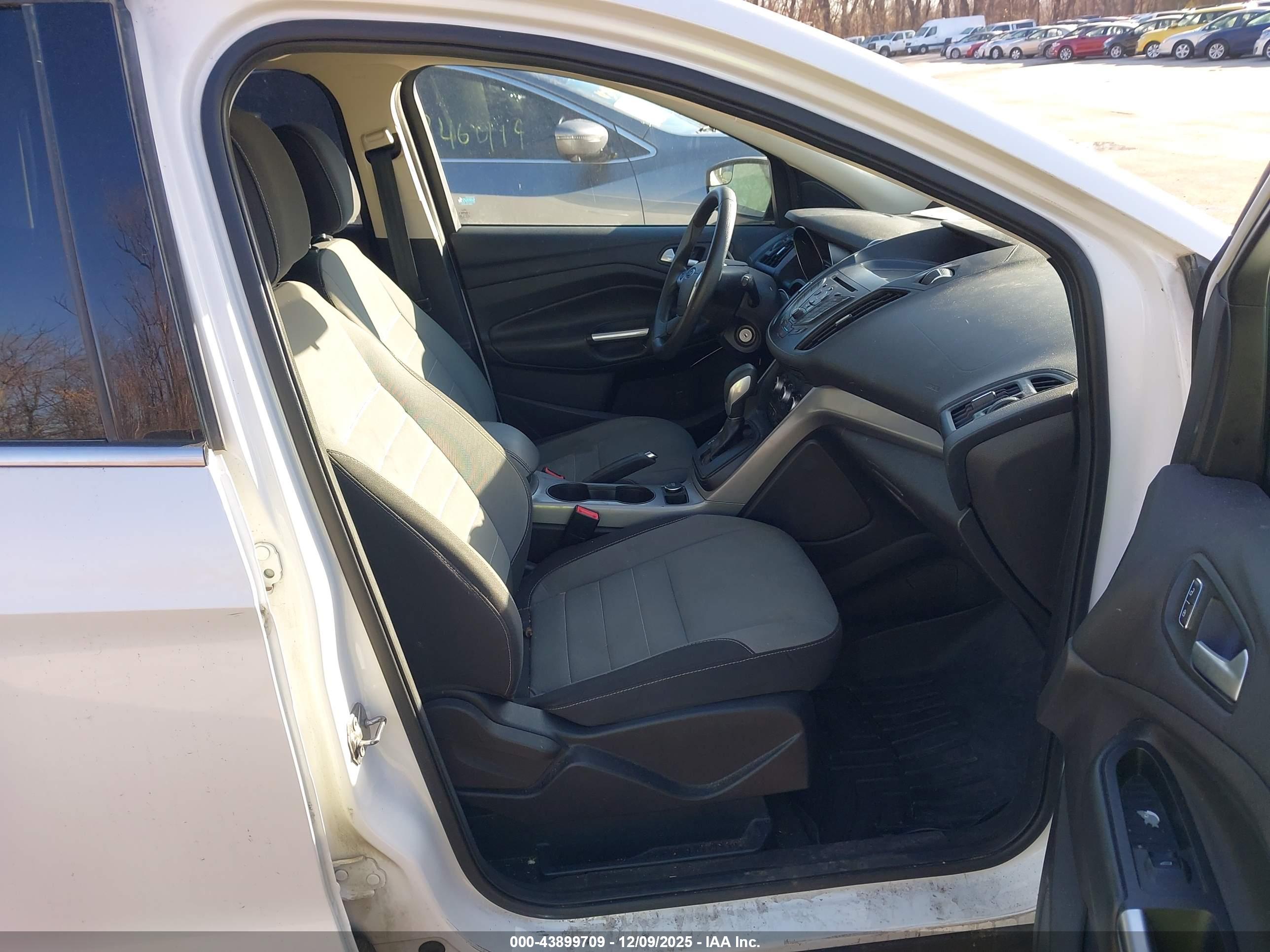 FORD ESCAPE image 5