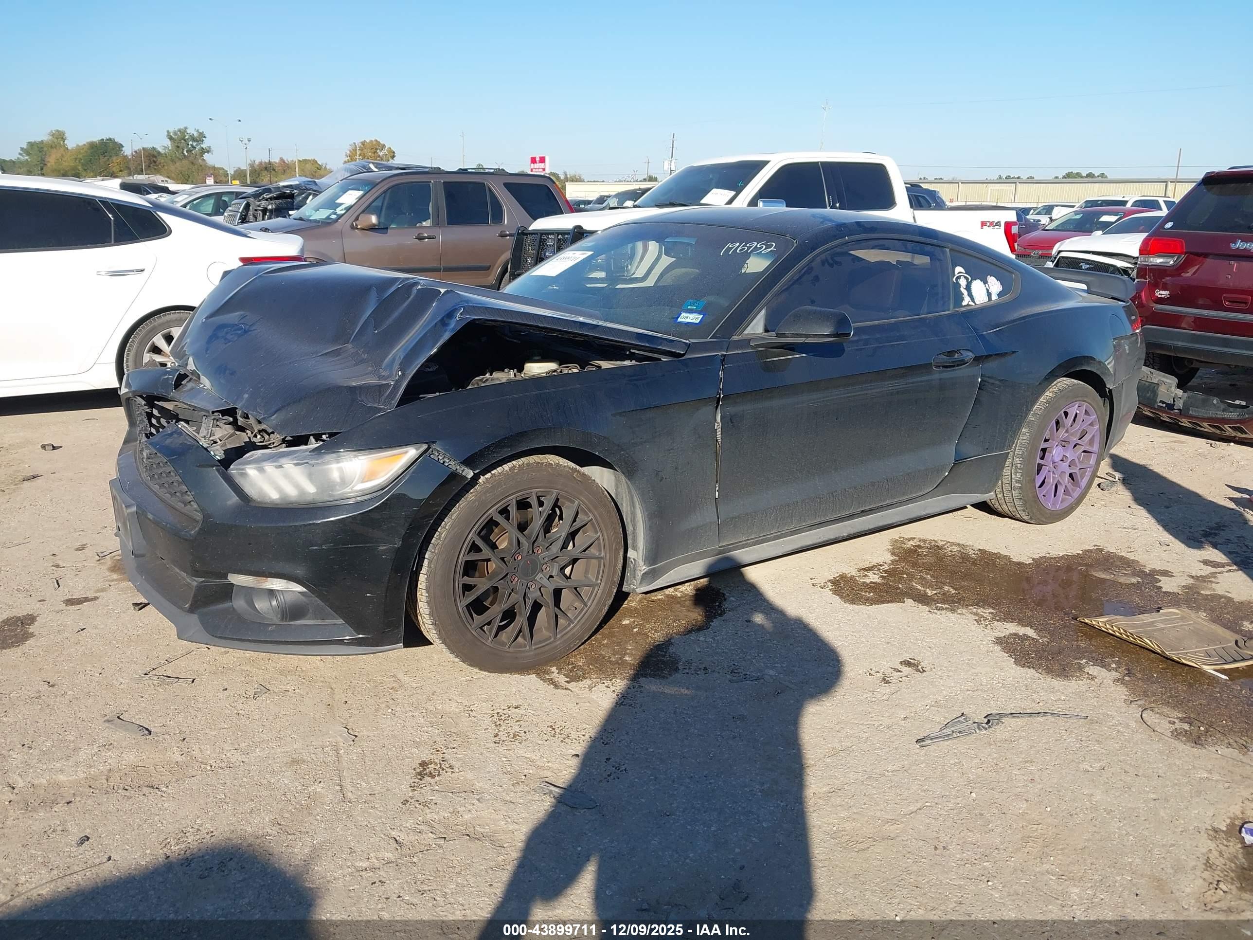 FORD MUSTANG image 2