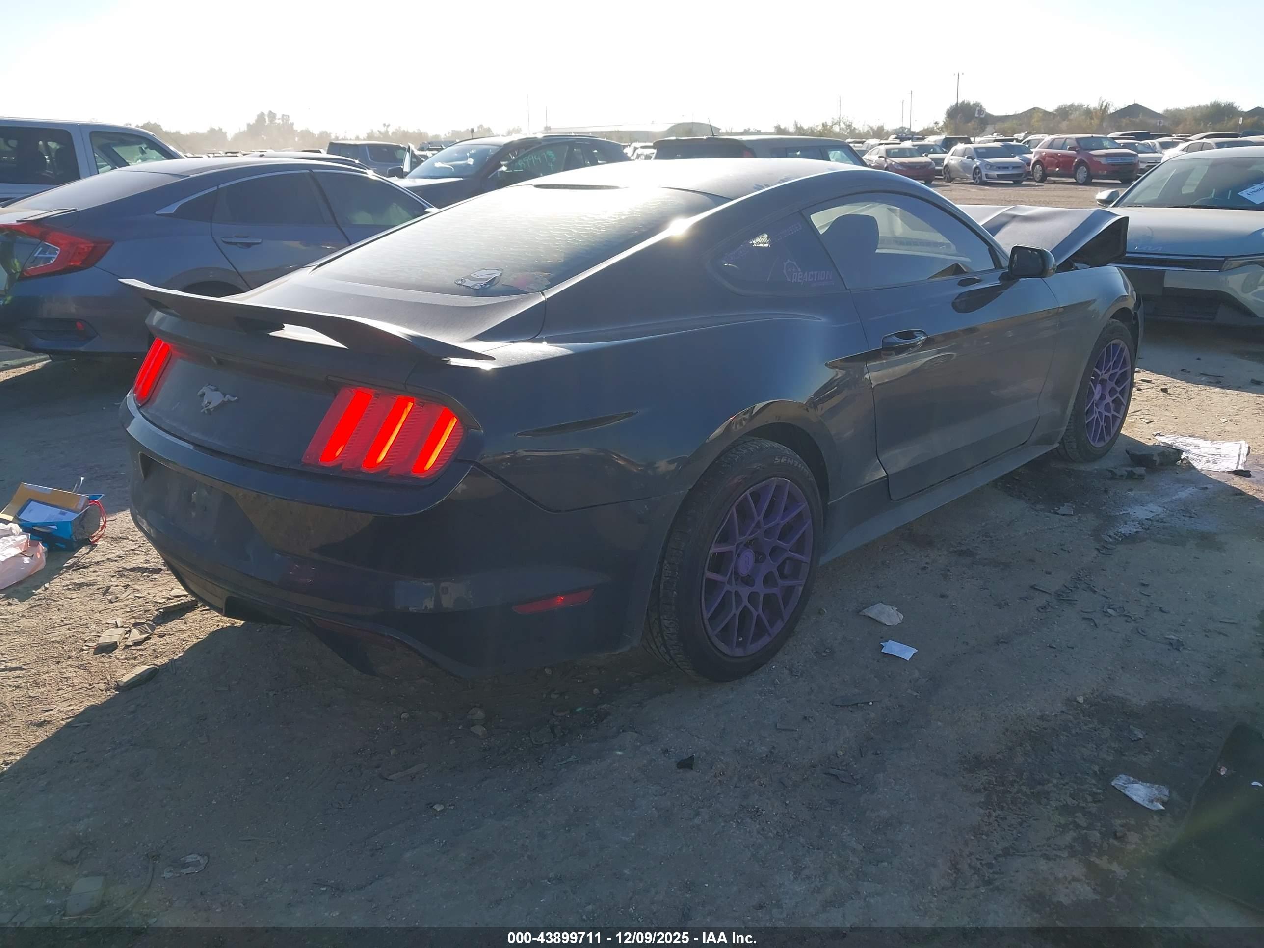 FORD MUSTANG image 4