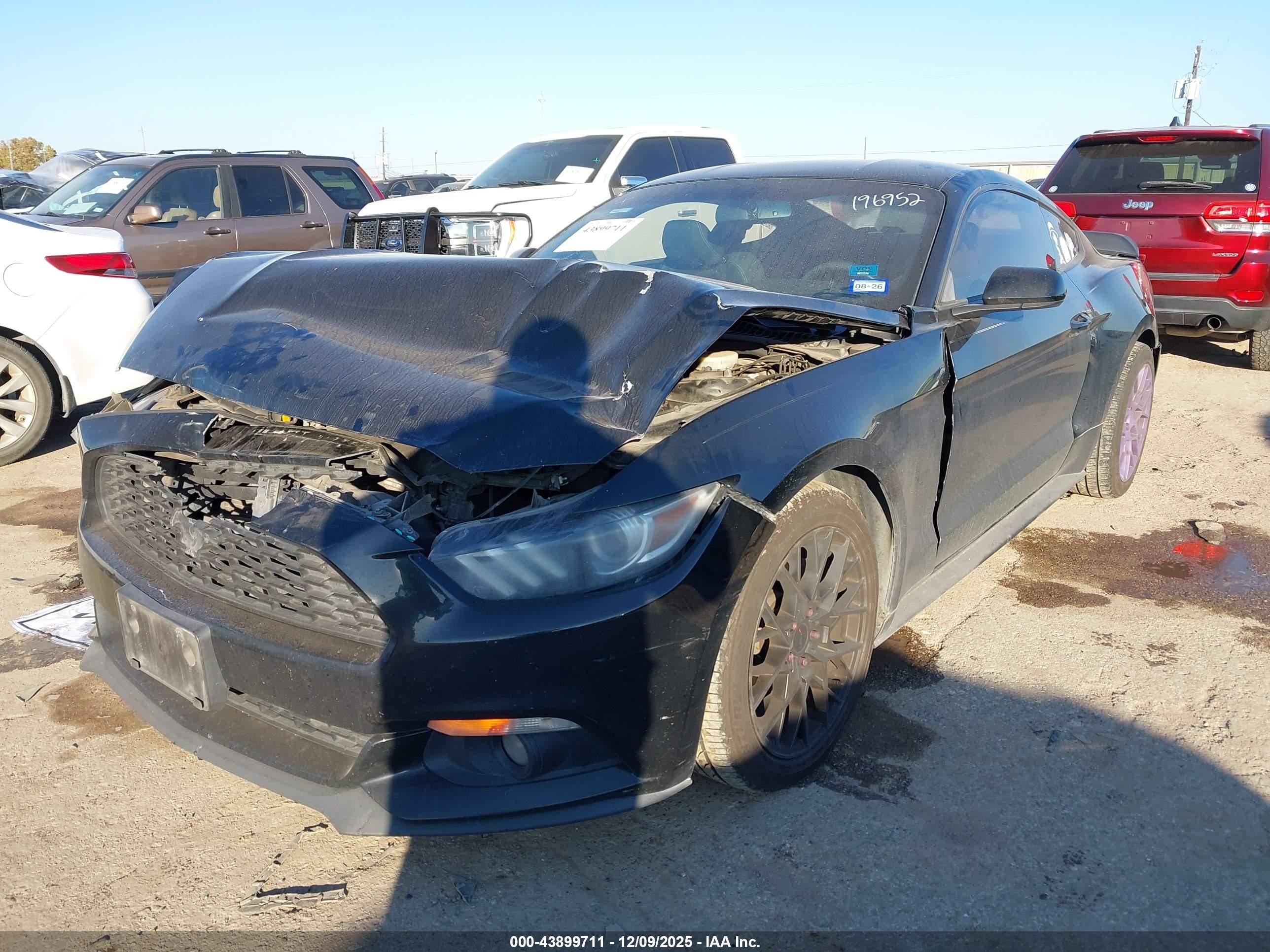 FORD MUSTANG image 6