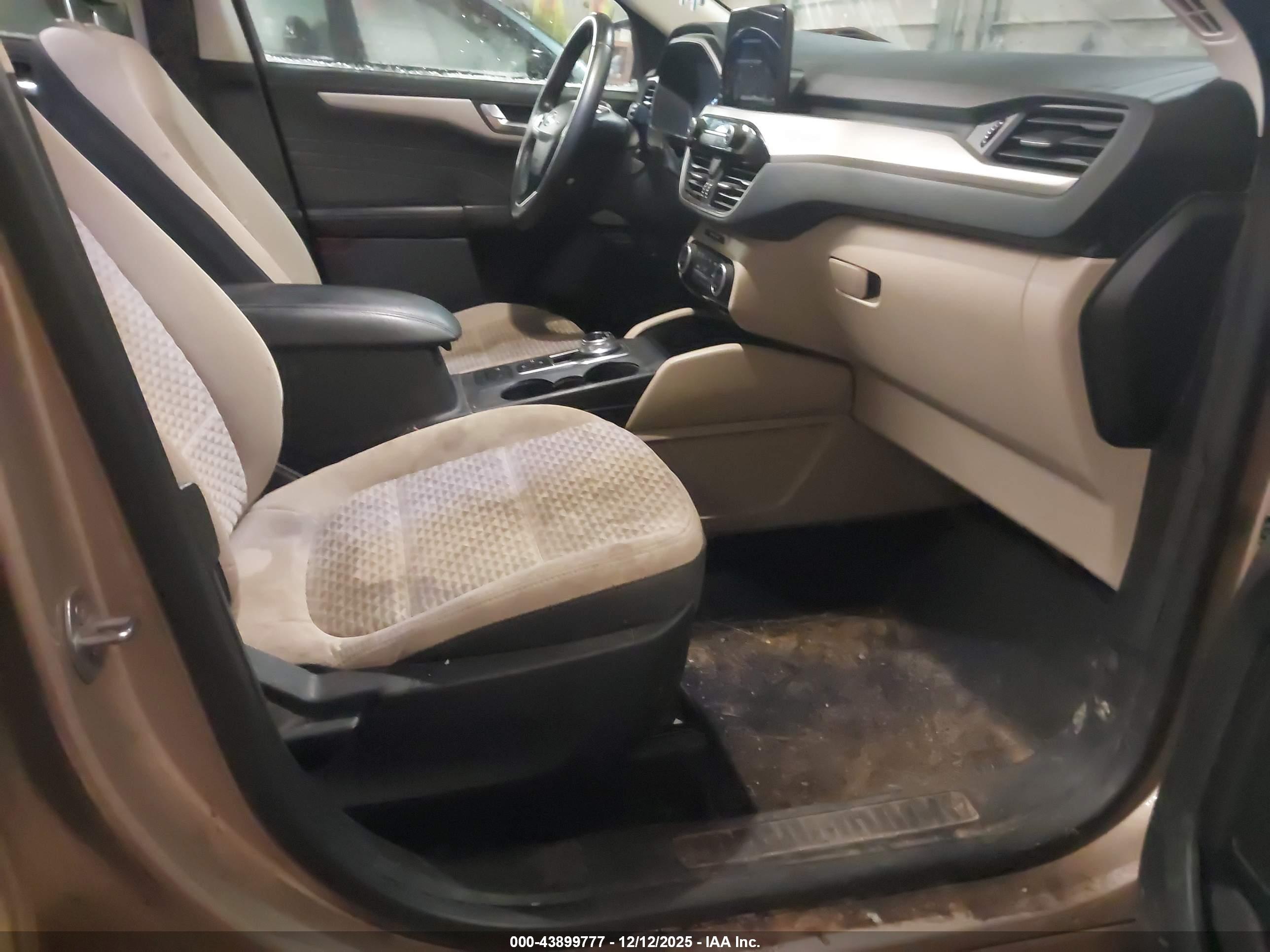 FORD ESCAPE image 5