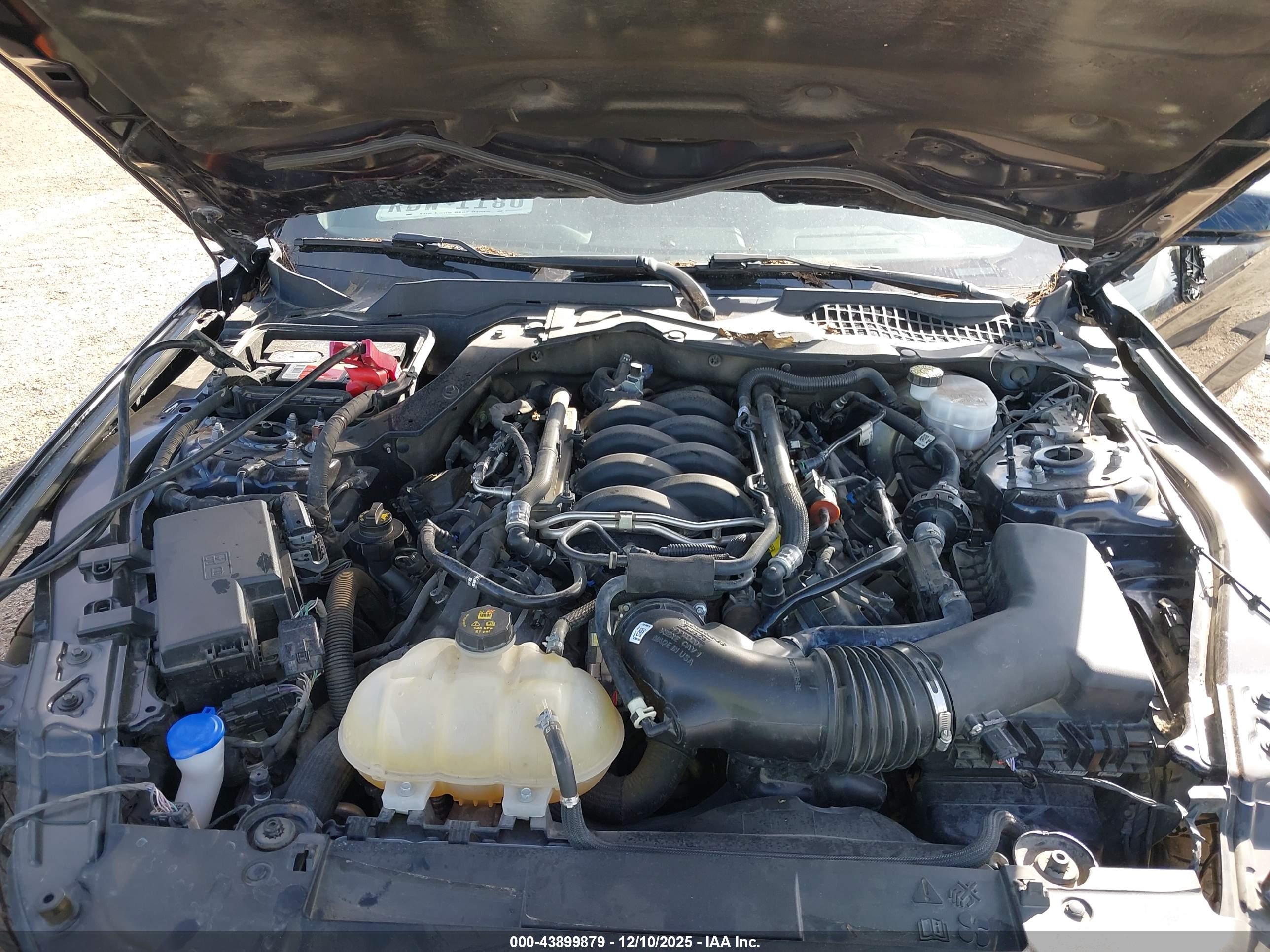 FORD MUSTANG image 10