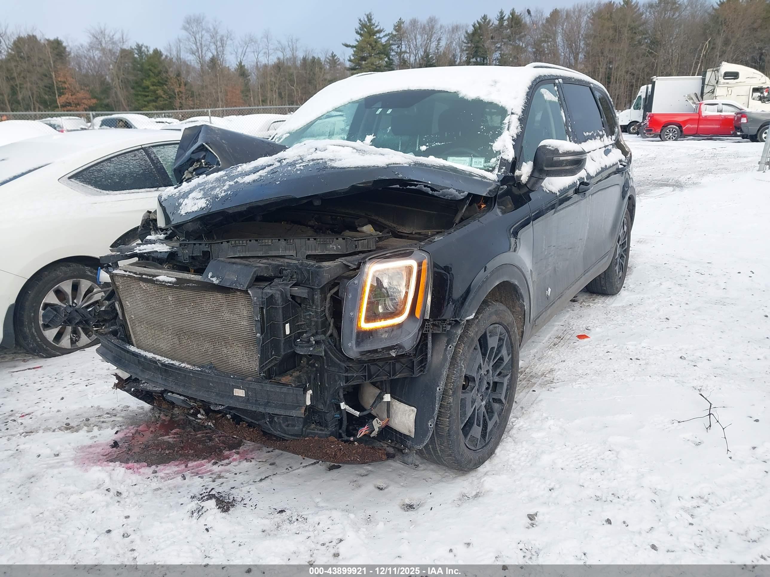 KIA TELLURIDE image 2