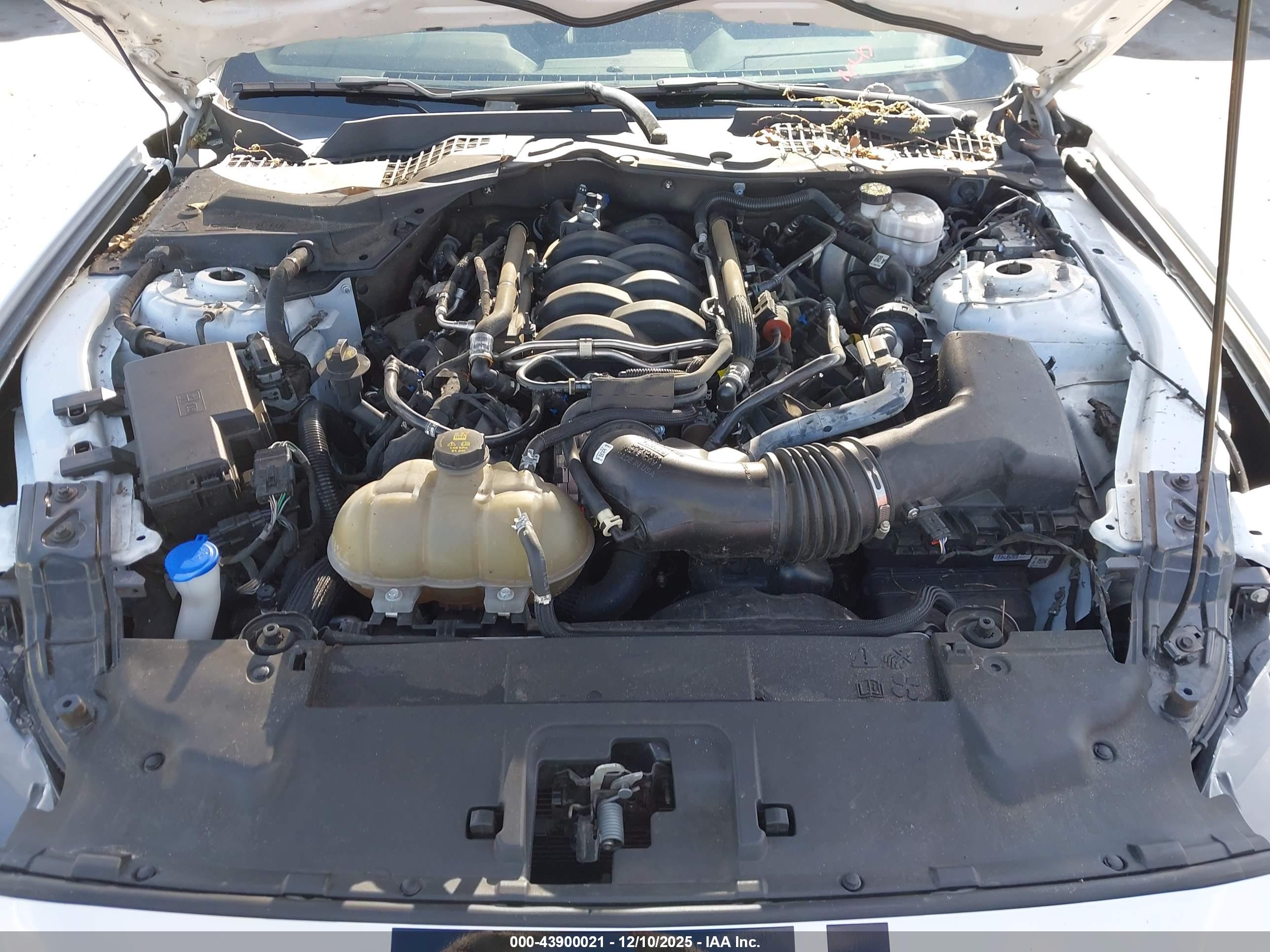 FORD MUSTANG image 10