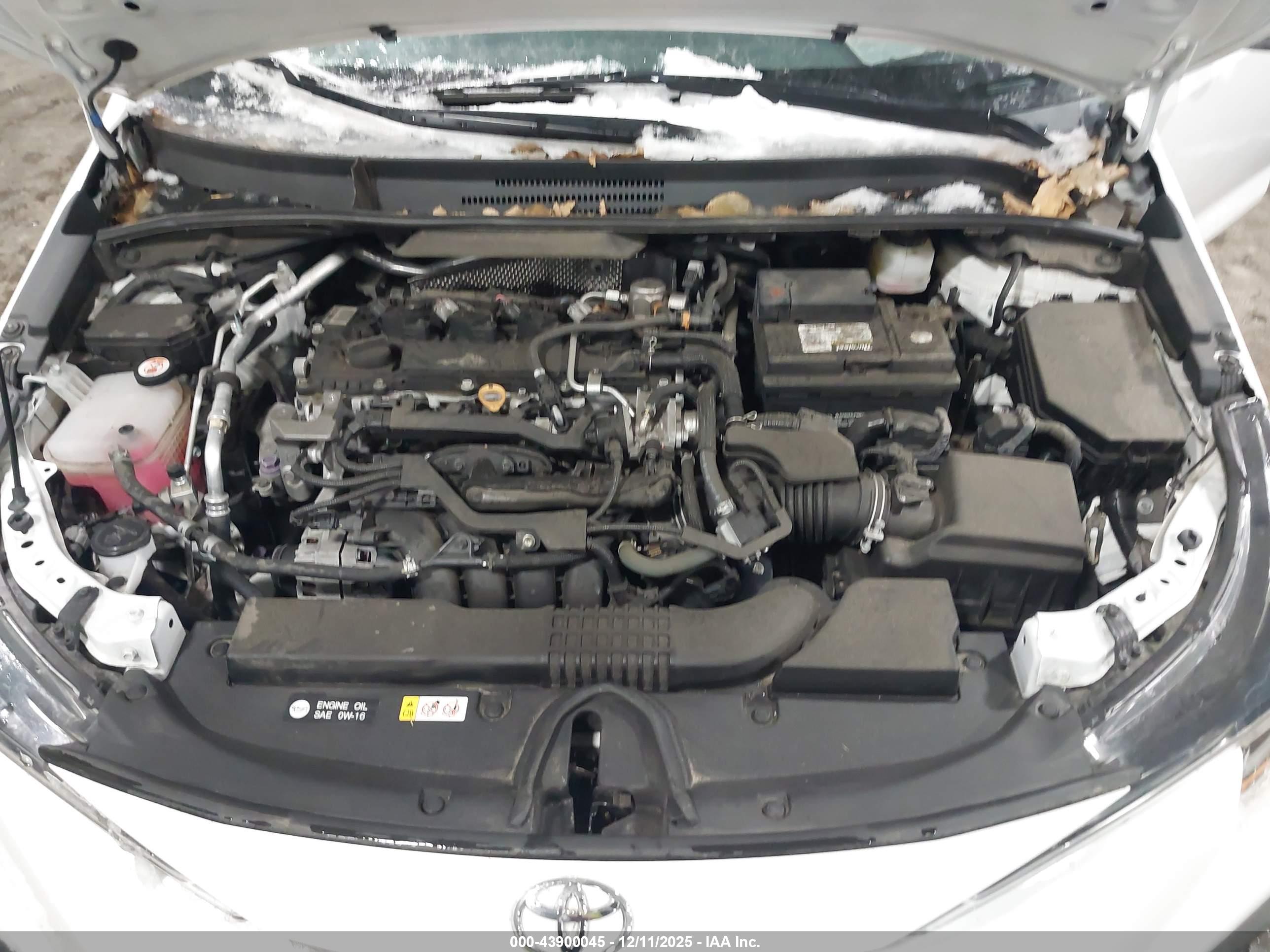 TOYOTA COROLLA image 10