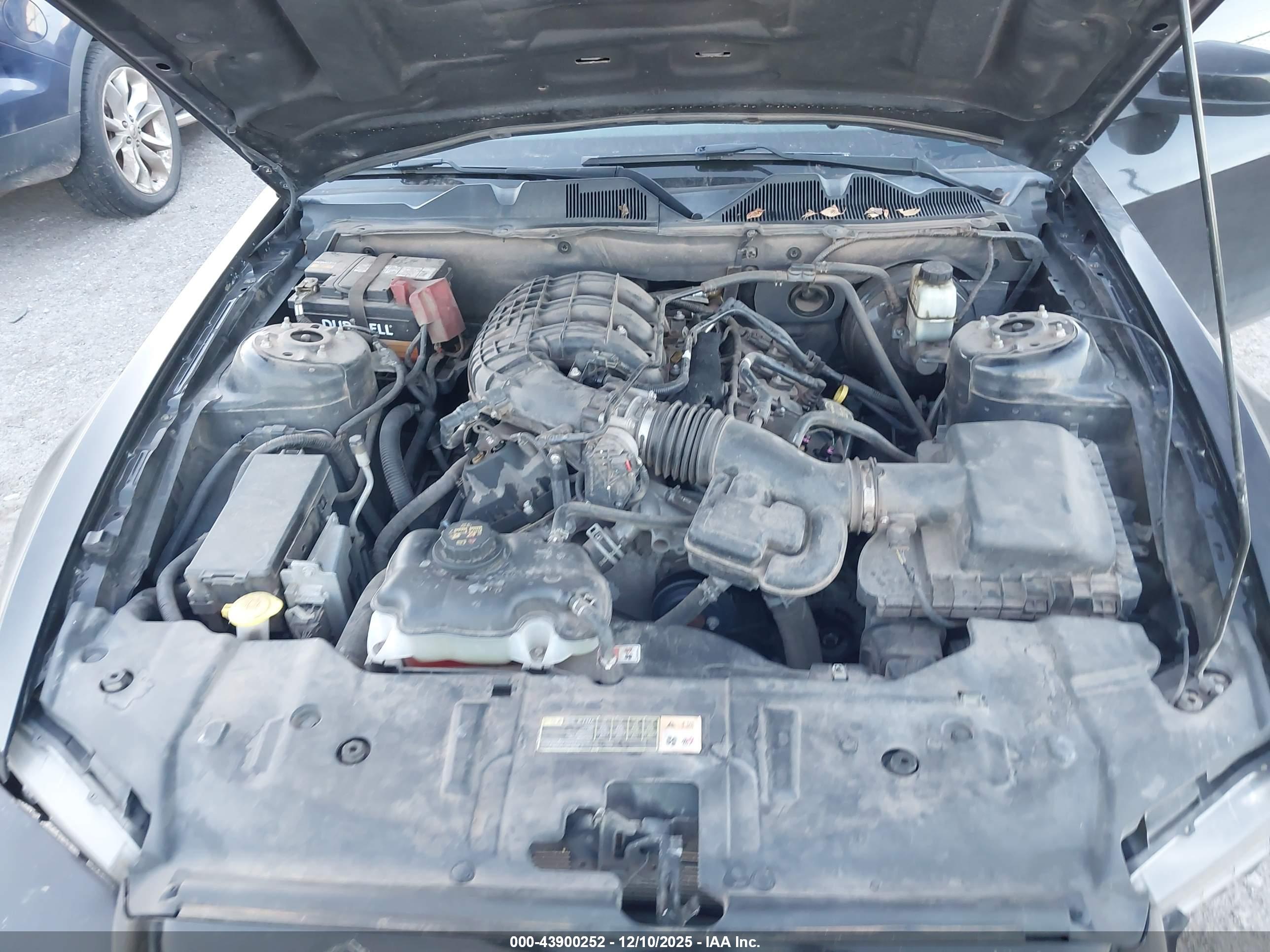 FORD MUSTANG image 10