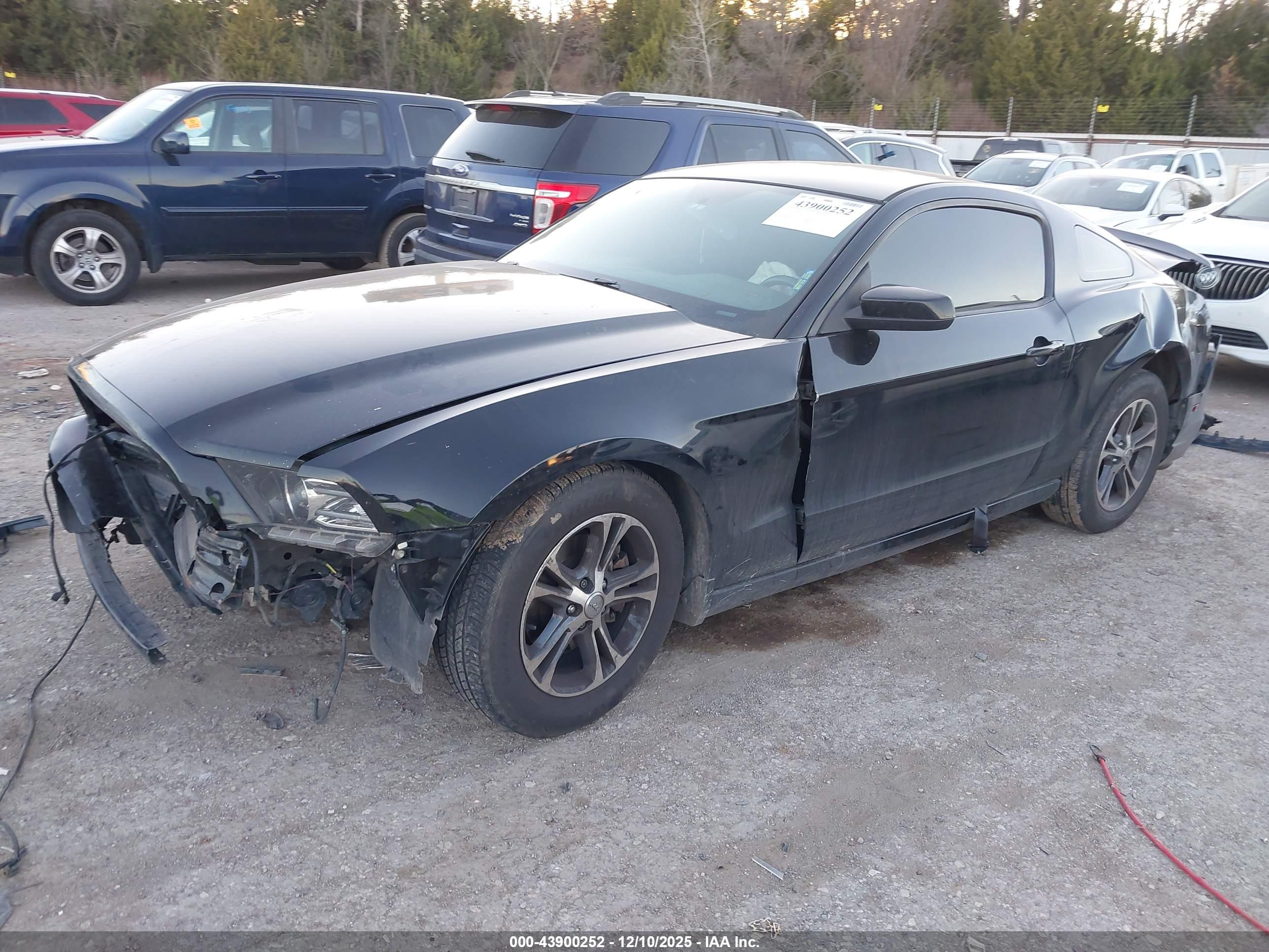 FORD MUSTANG image 2