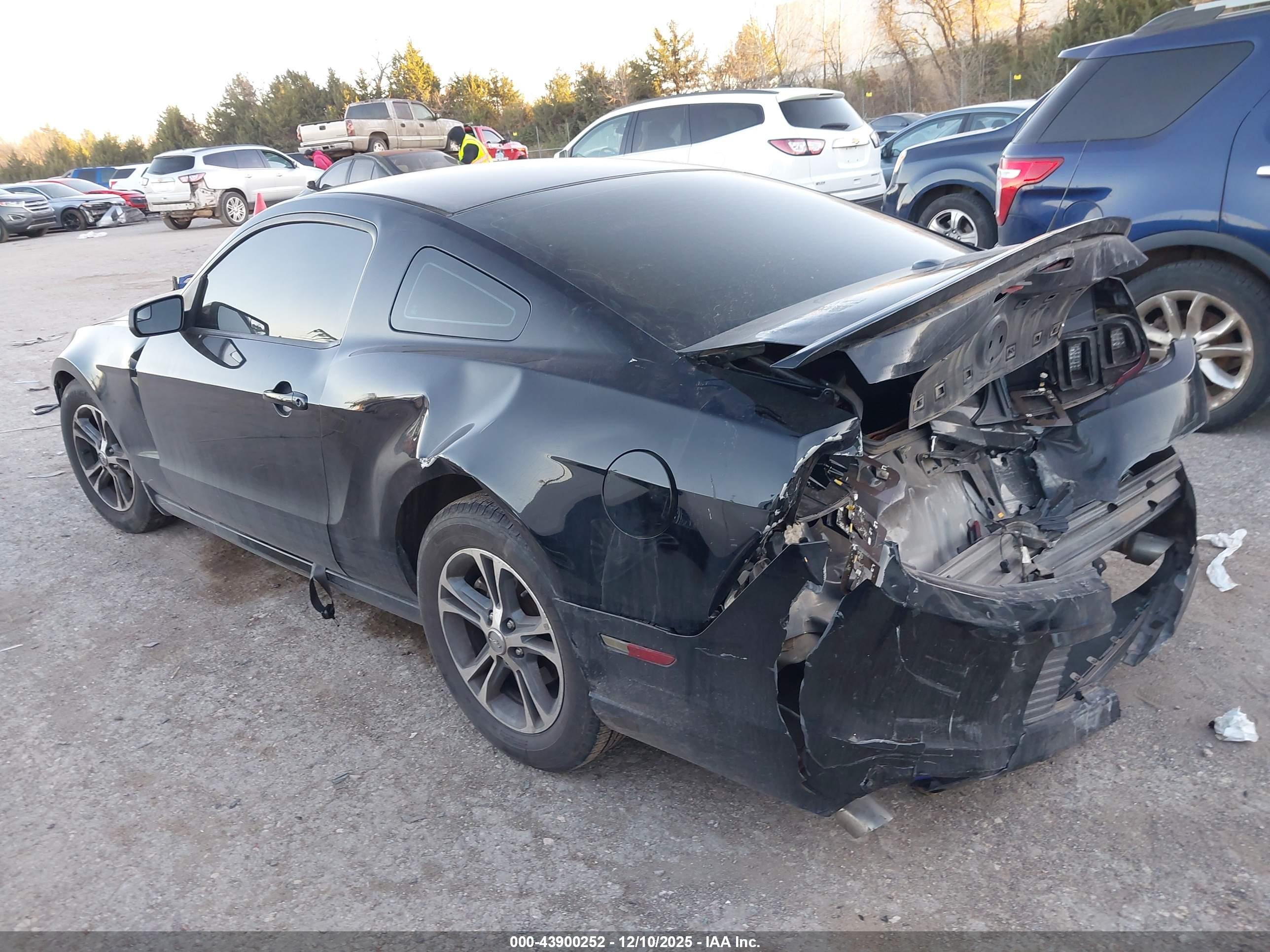 FORD MUSTANG image 3