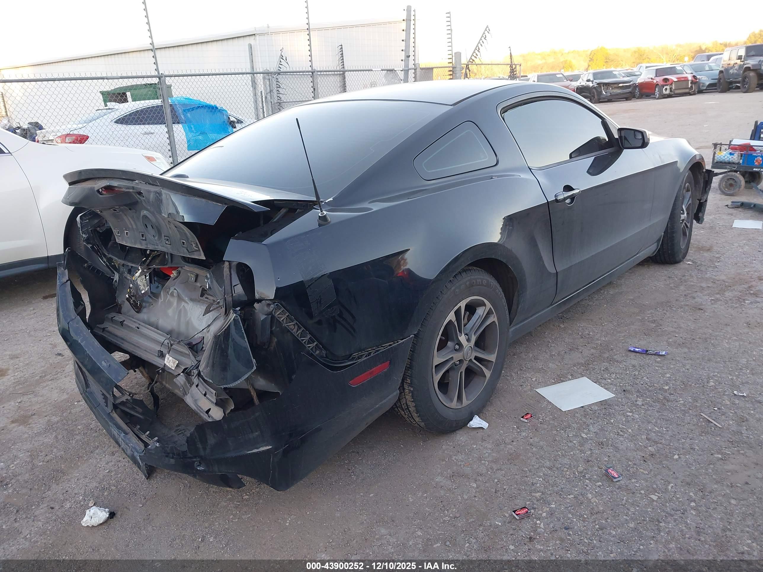 FORD MUSTANG image 4