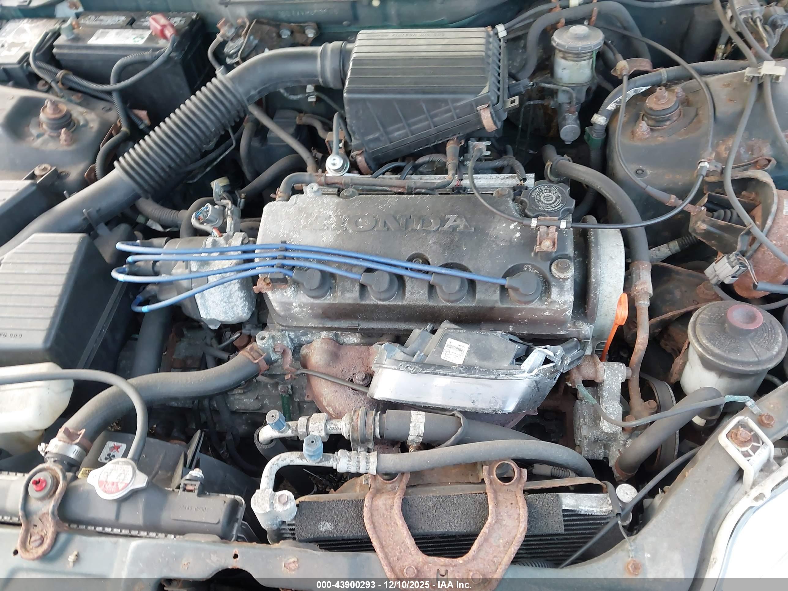 HONDA CIVIC image 10