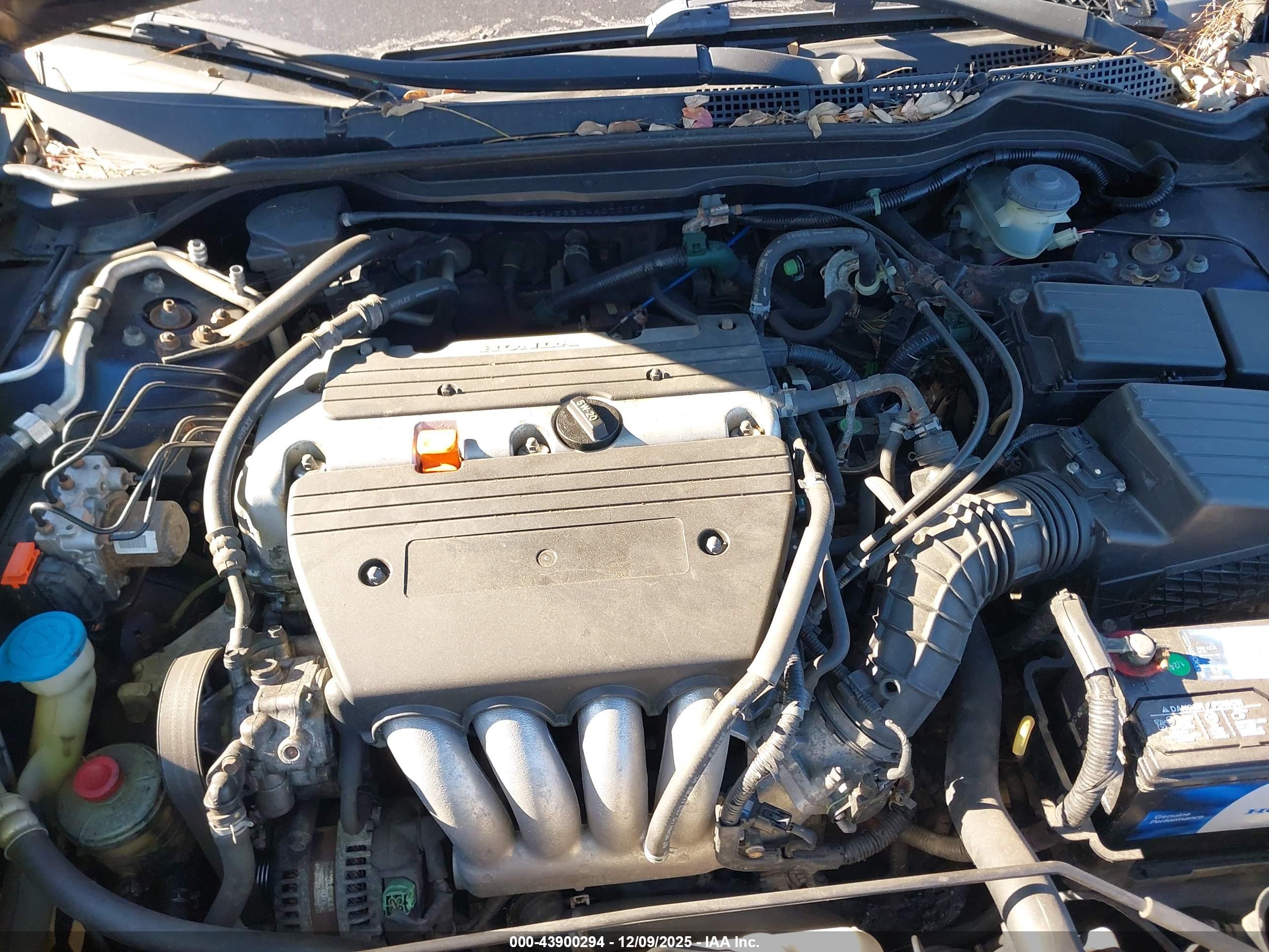 HONDA ACCORD image 10