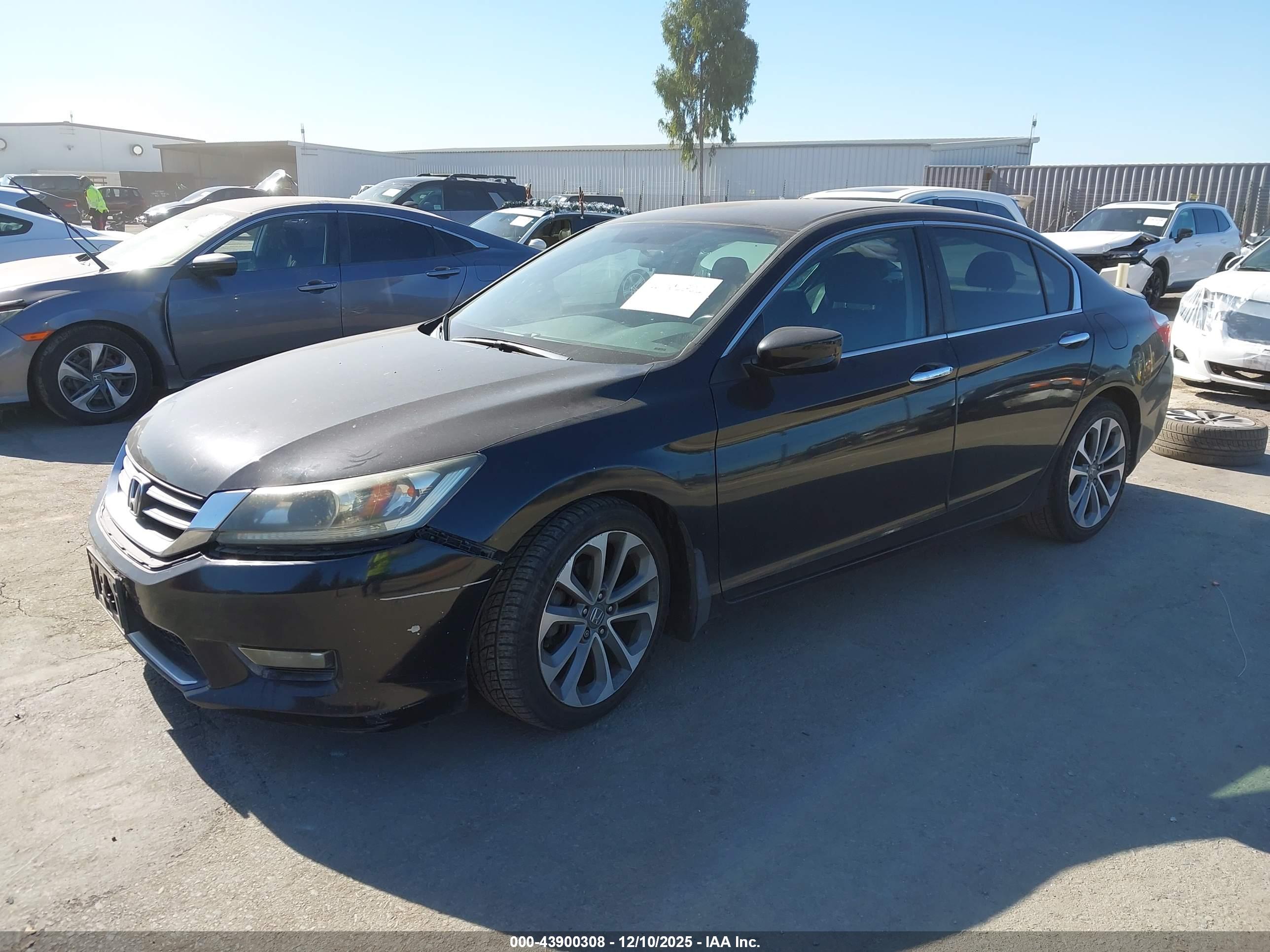 HONDA ACCORD image 2